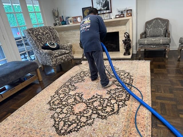 Gallery photos for Revitalize Your Rug with Expert Cleaning: Image #1