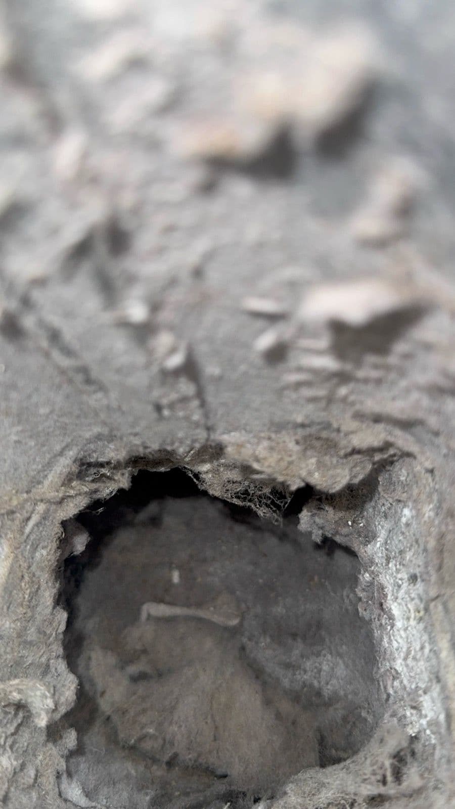 Transform Your Home with Expert Dryer Vent Cleaning image
