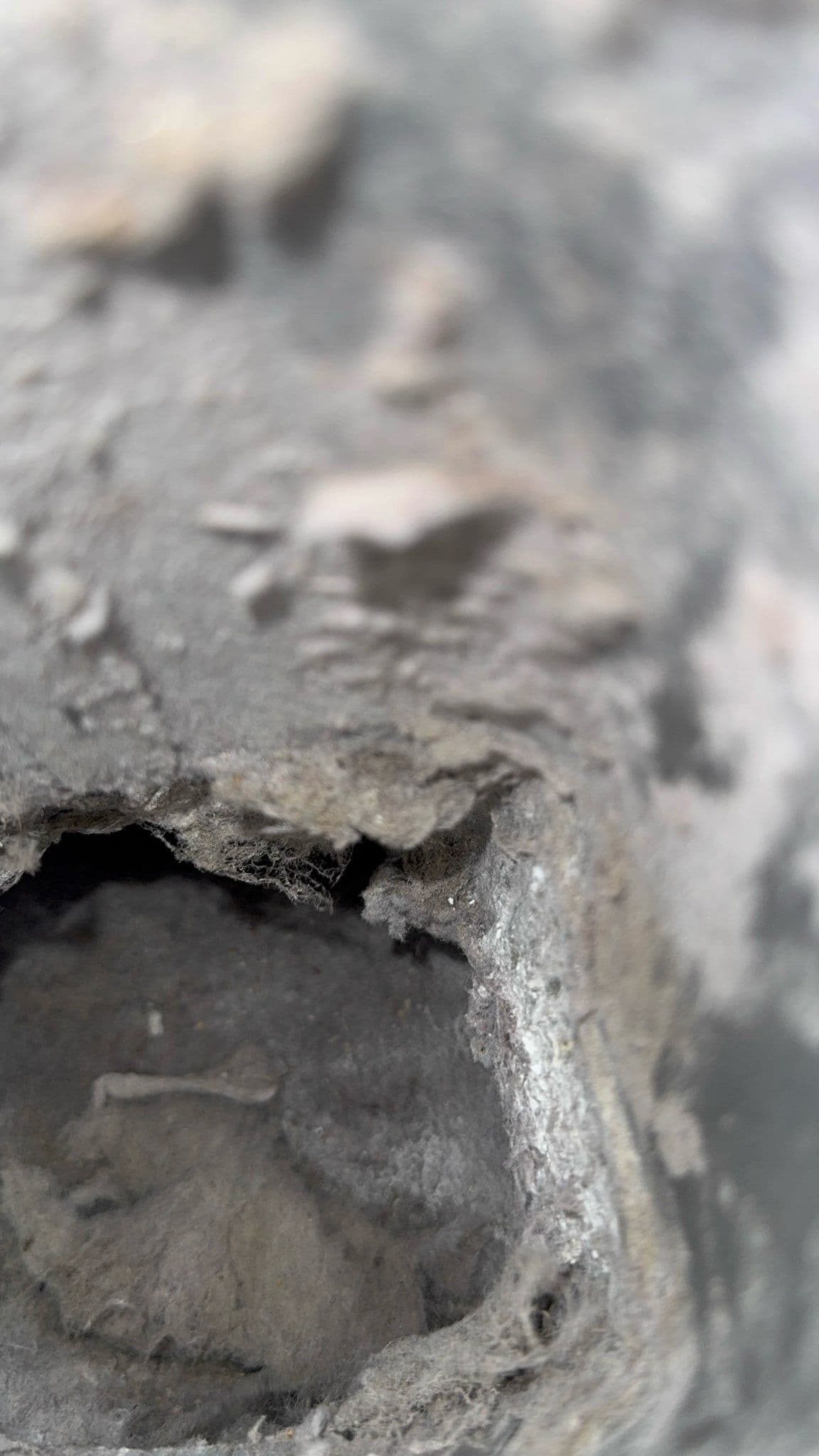 Gallery photos for Transform Your Home with Expert Dryer Vent Cleaning: Image #1