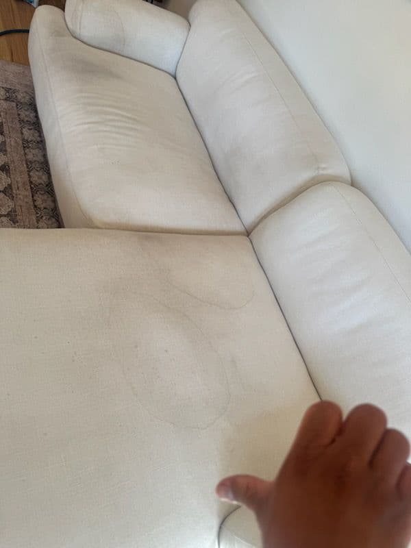 Gallery photos for Sylmar Sofa Stain Removal Success: Image #1