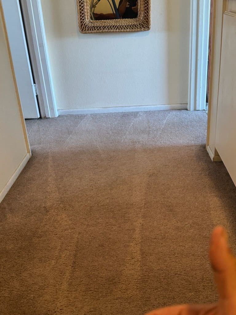Gallery photos for Pasadena Carpet Cleaning Transformation Success: Image #1