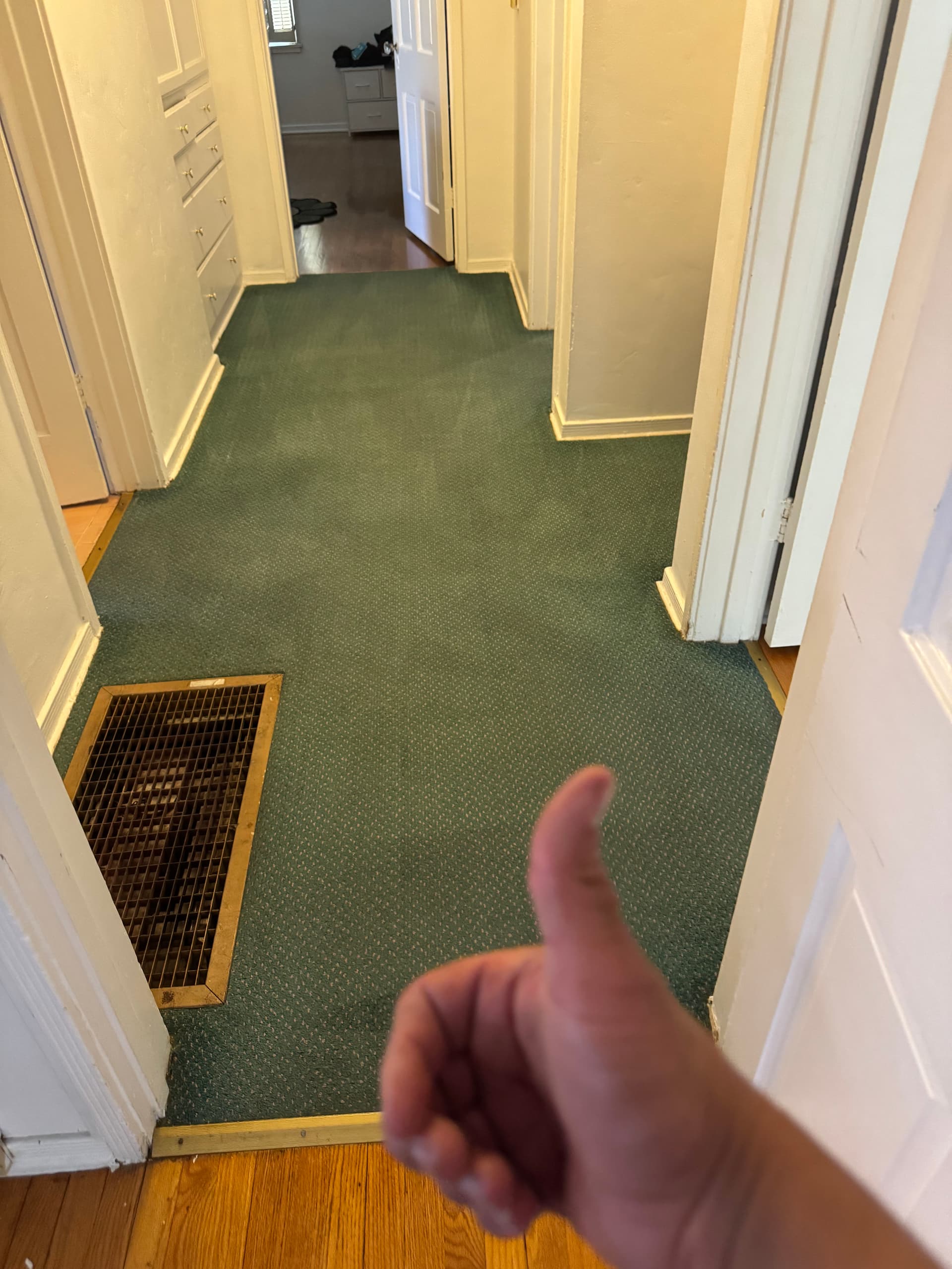 Gallery photos for Stained Los Angeles Carpet Cleaned Back to Life: Image #3