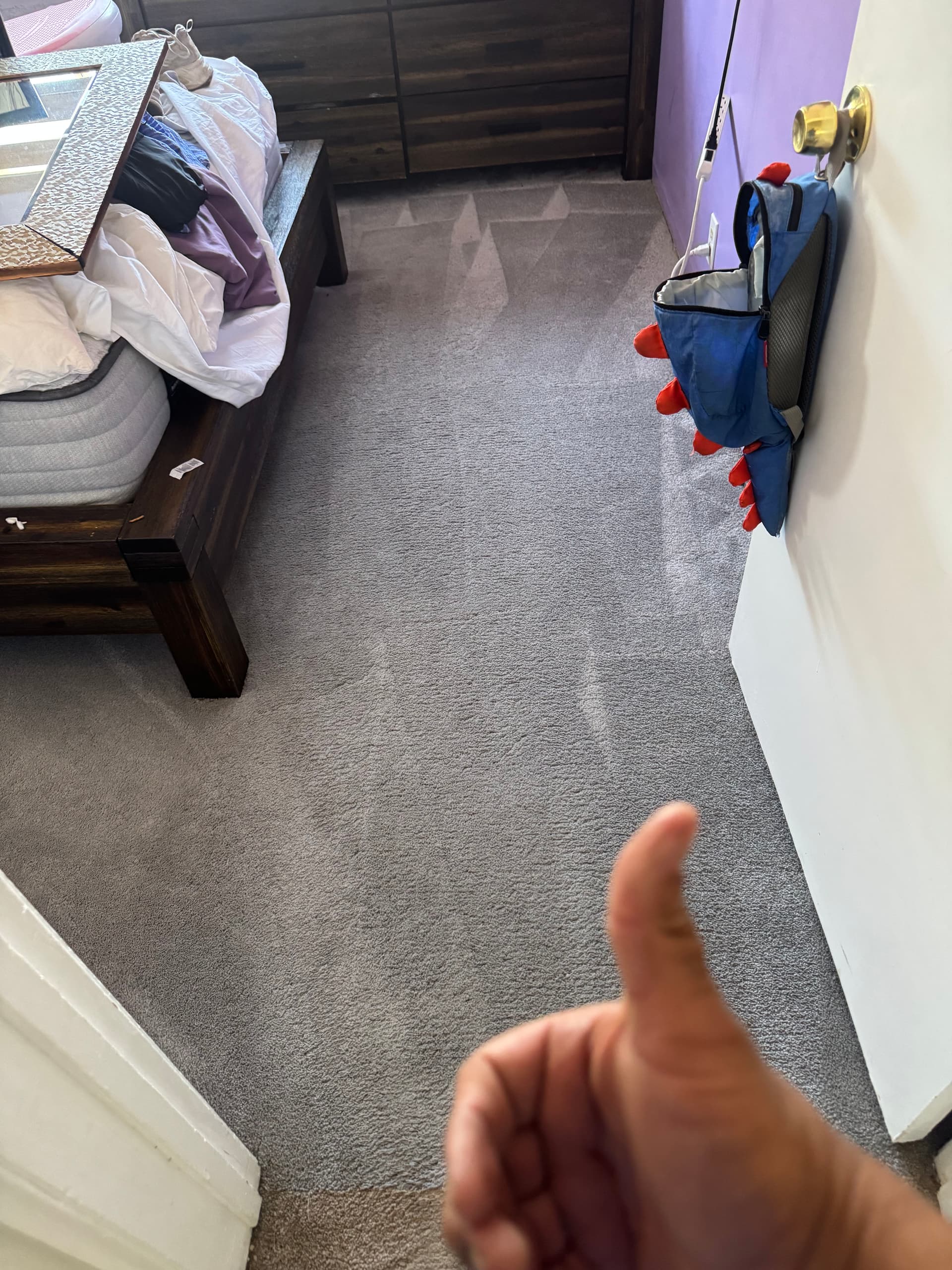 Deep Carpet Cleaning Done Right in Beverly Hills image