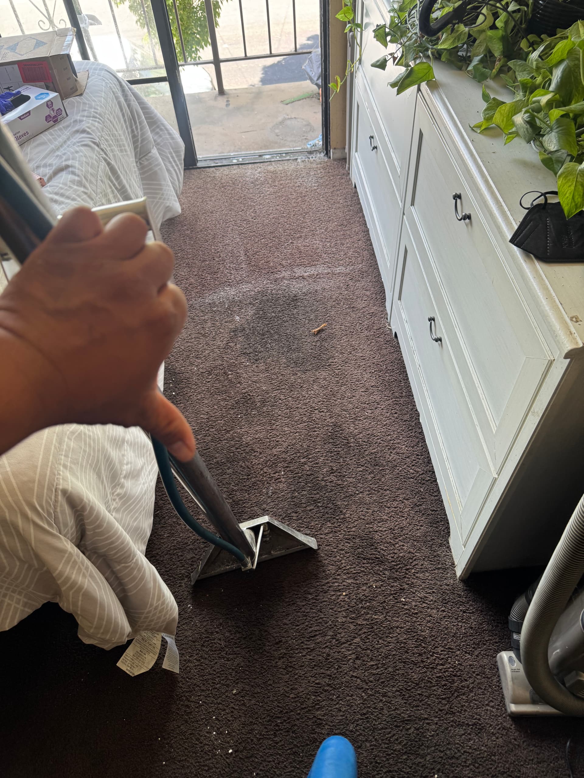 Deep Carpet Cleaning Done Right in Orange County image
