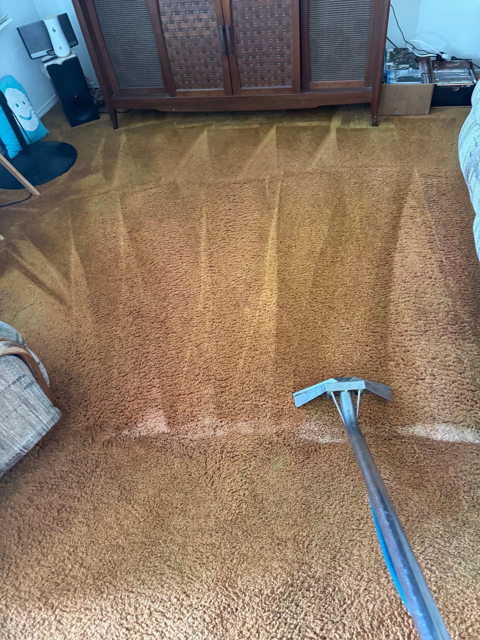 Reviving Carpets in Beverly Hills image