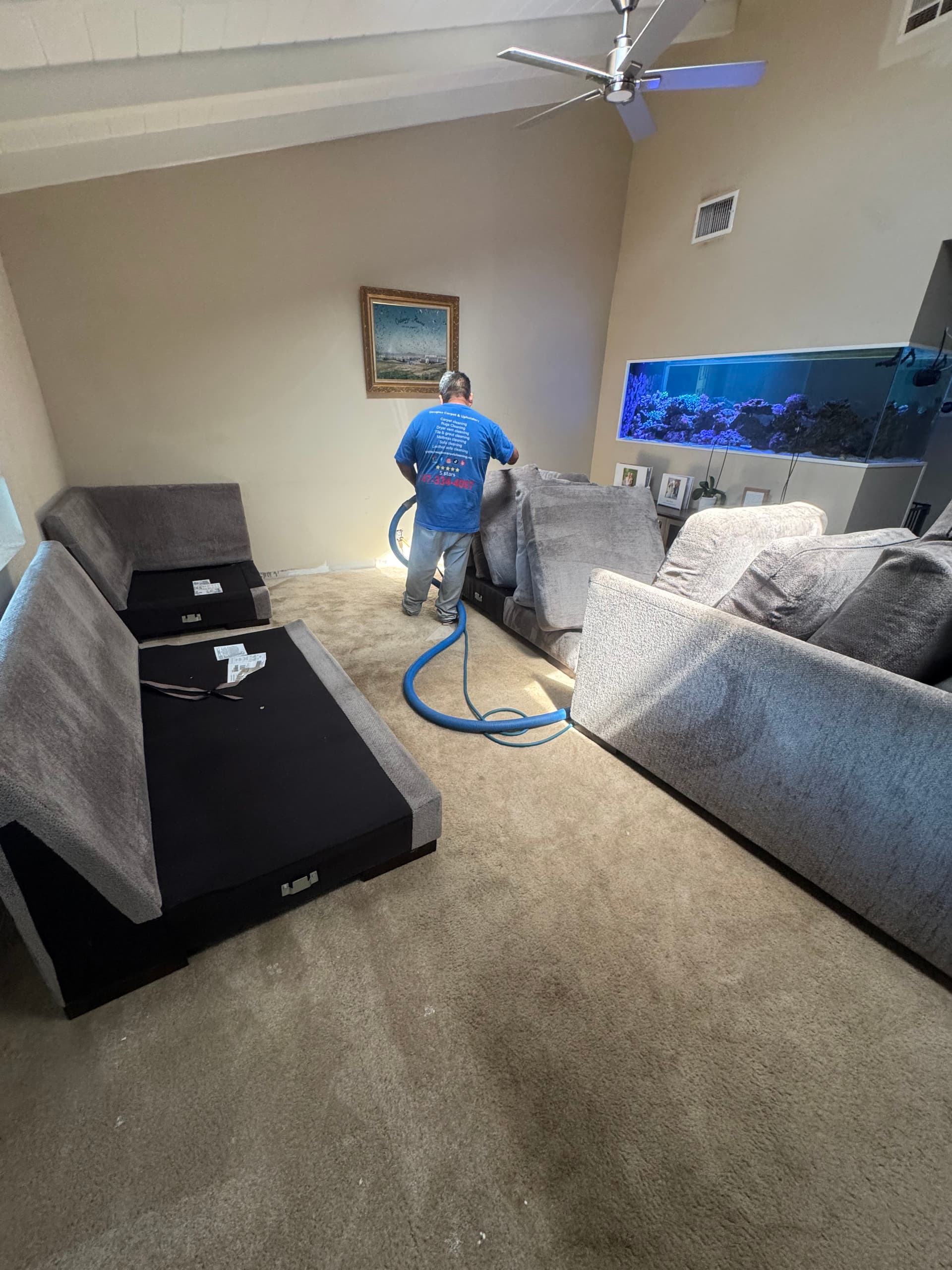 Gallery photos for Carpet and Sofa Deep Clean in West Covina: Image #1