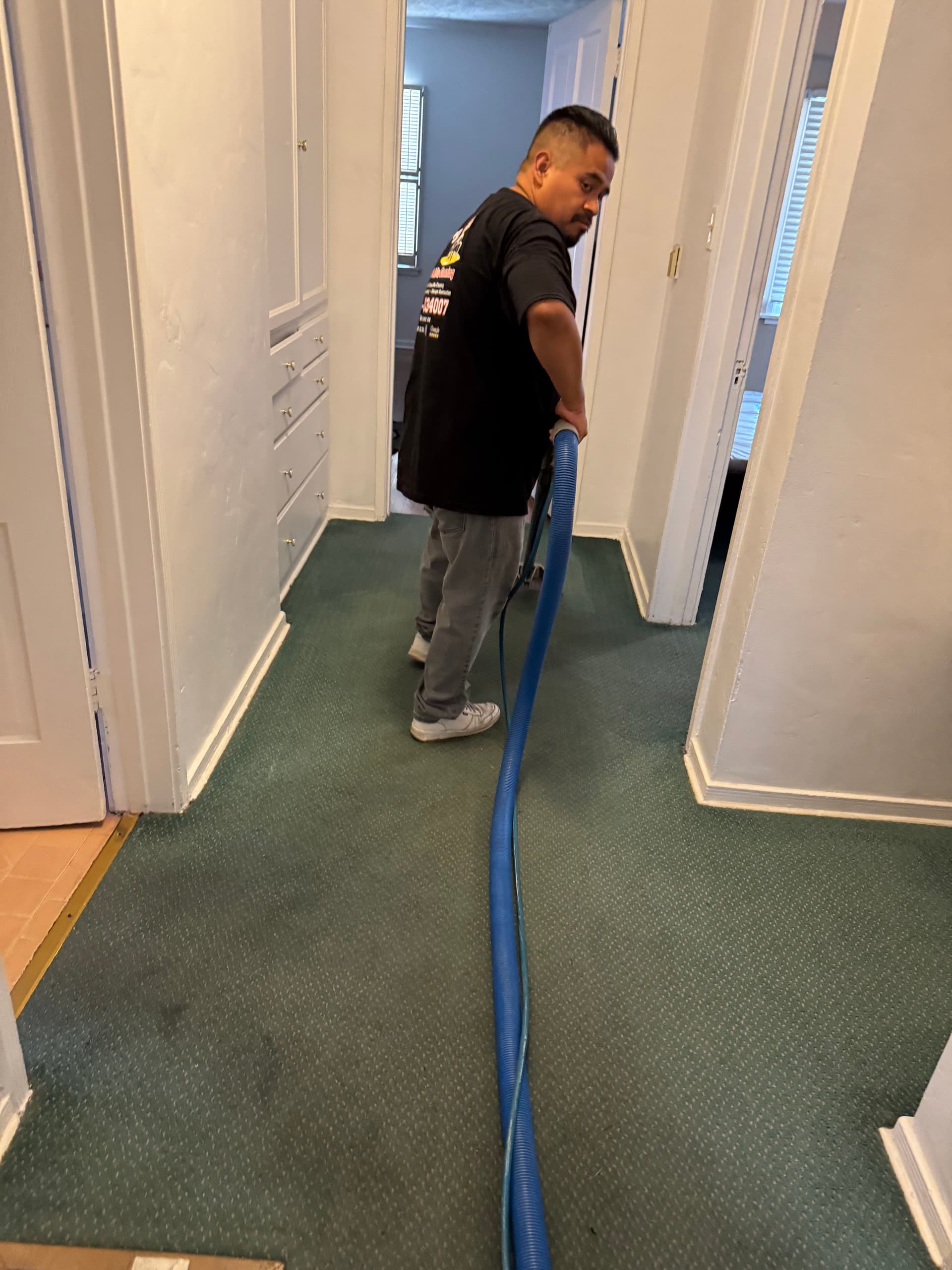 Gallery photos for Stained Los Angeles Carpet Cleaned Back to Life: Image #2