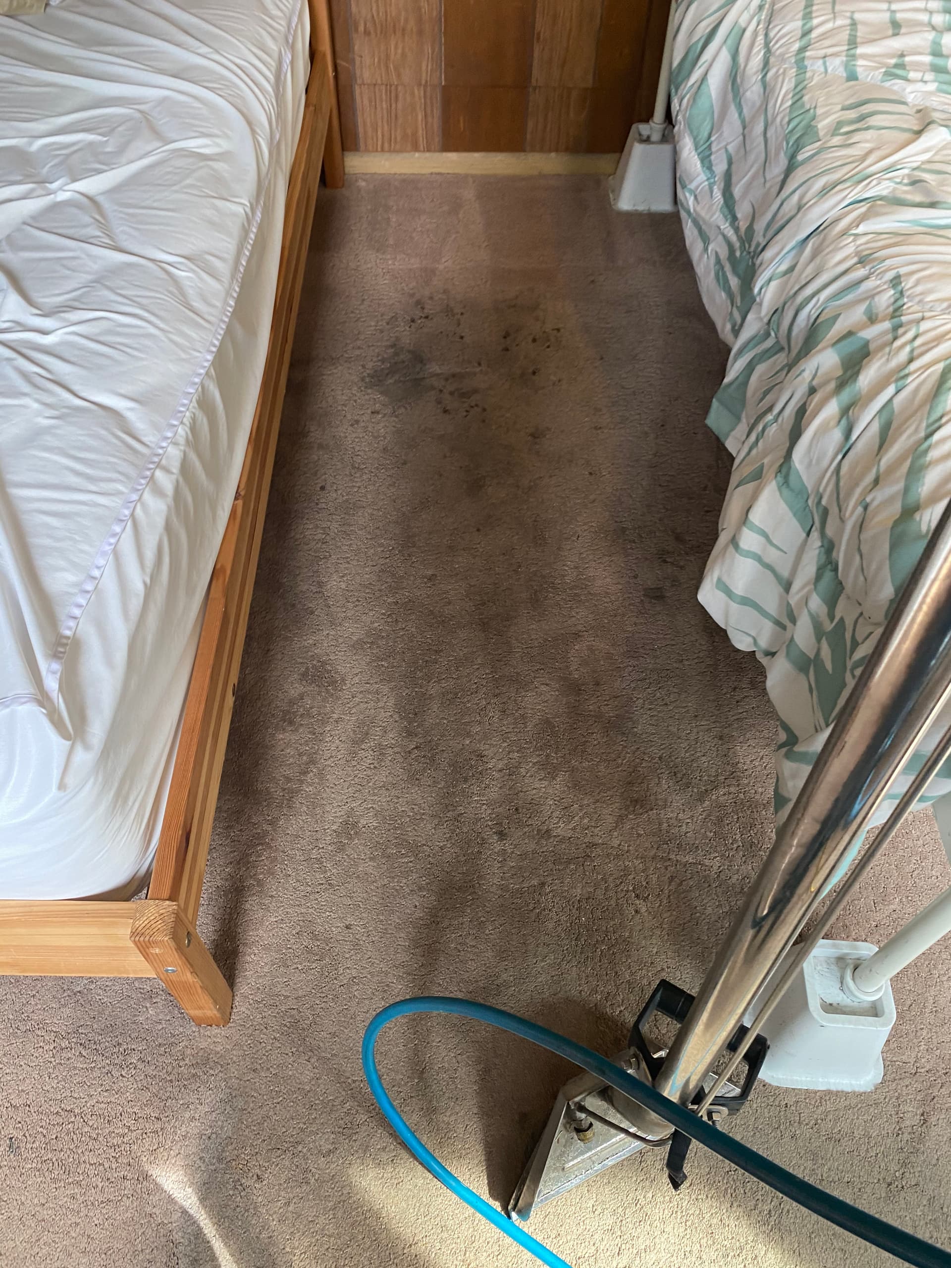 Bedroom Carpet Cleaning in Thousand Oaks That Actually Works image