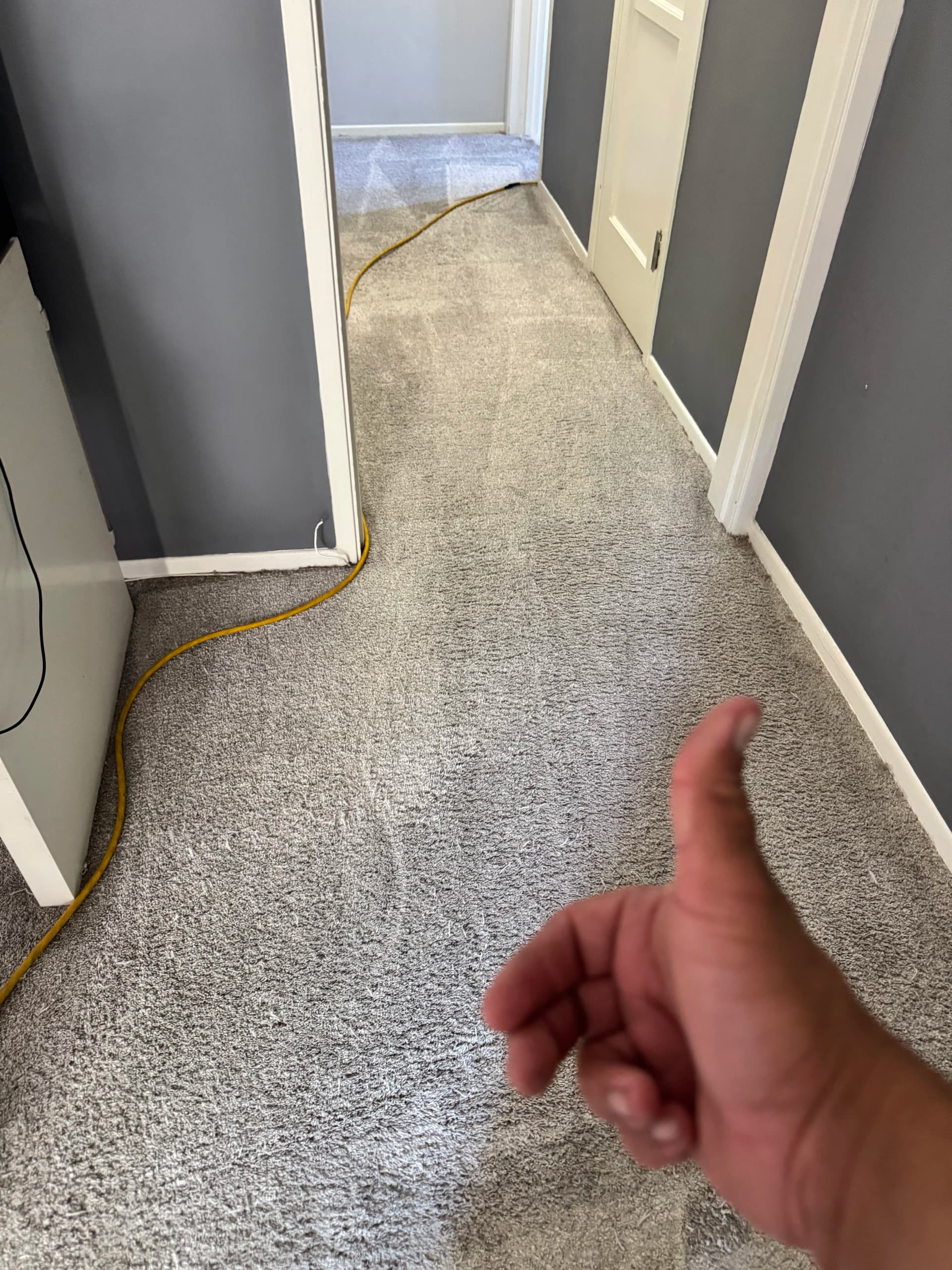 Gallery photos for North Hollywood Carpet Cleaning That Actually Gets the Dirt Out: Image #4