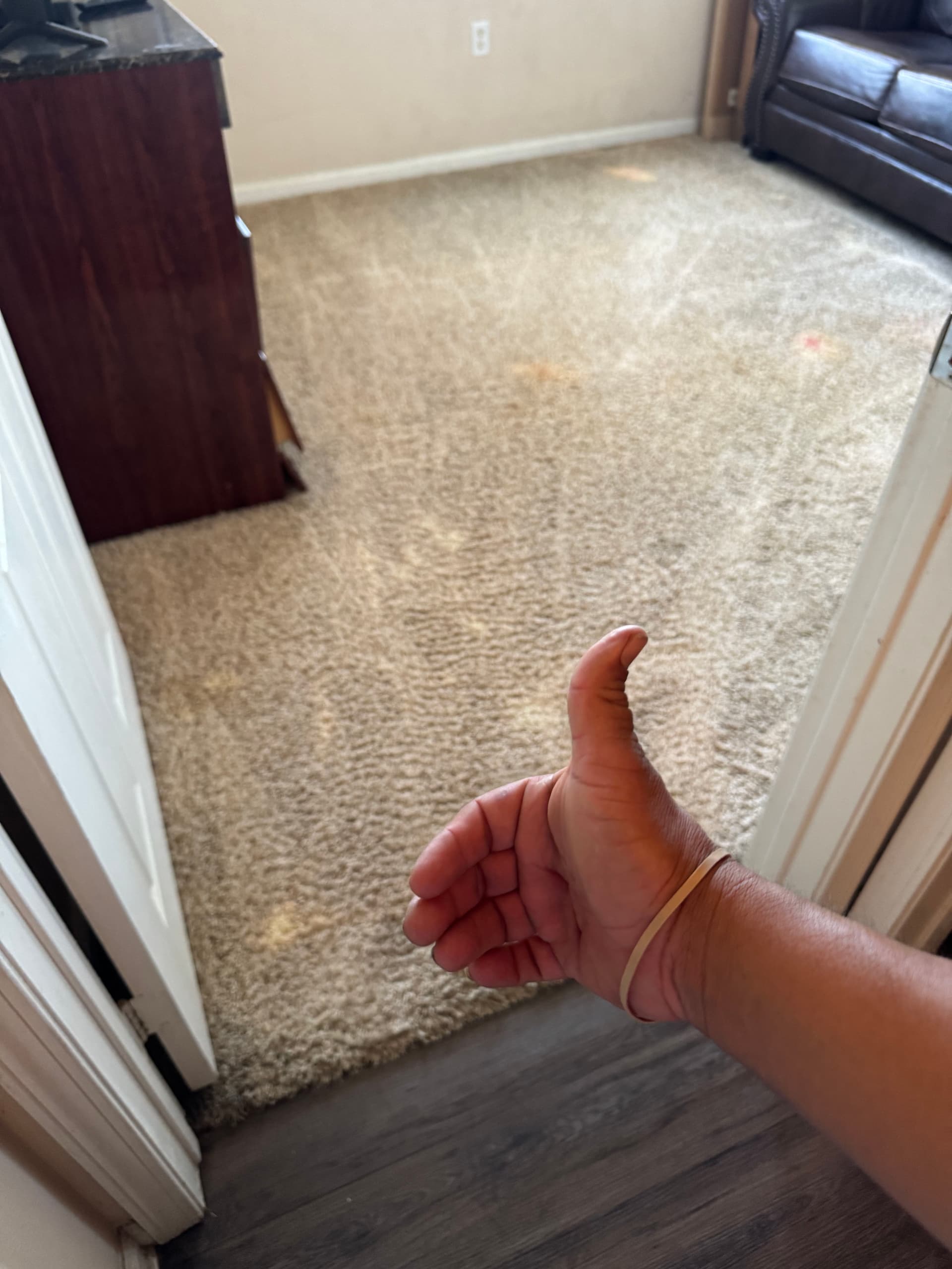 Gallery photos for Carpet Cleaning Magic in Thousand Oaks: Image #3