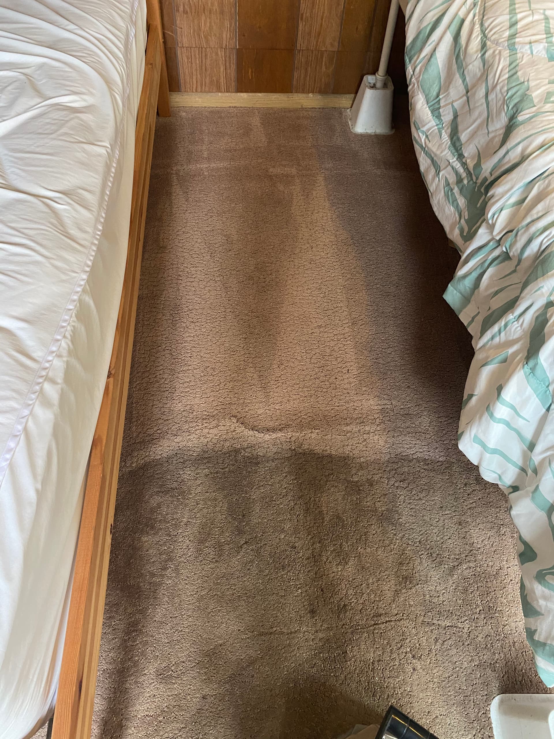 Gallery photos for Bedroom Carpet Cleaning in Thousand Oaks That Actually Works: Image #1