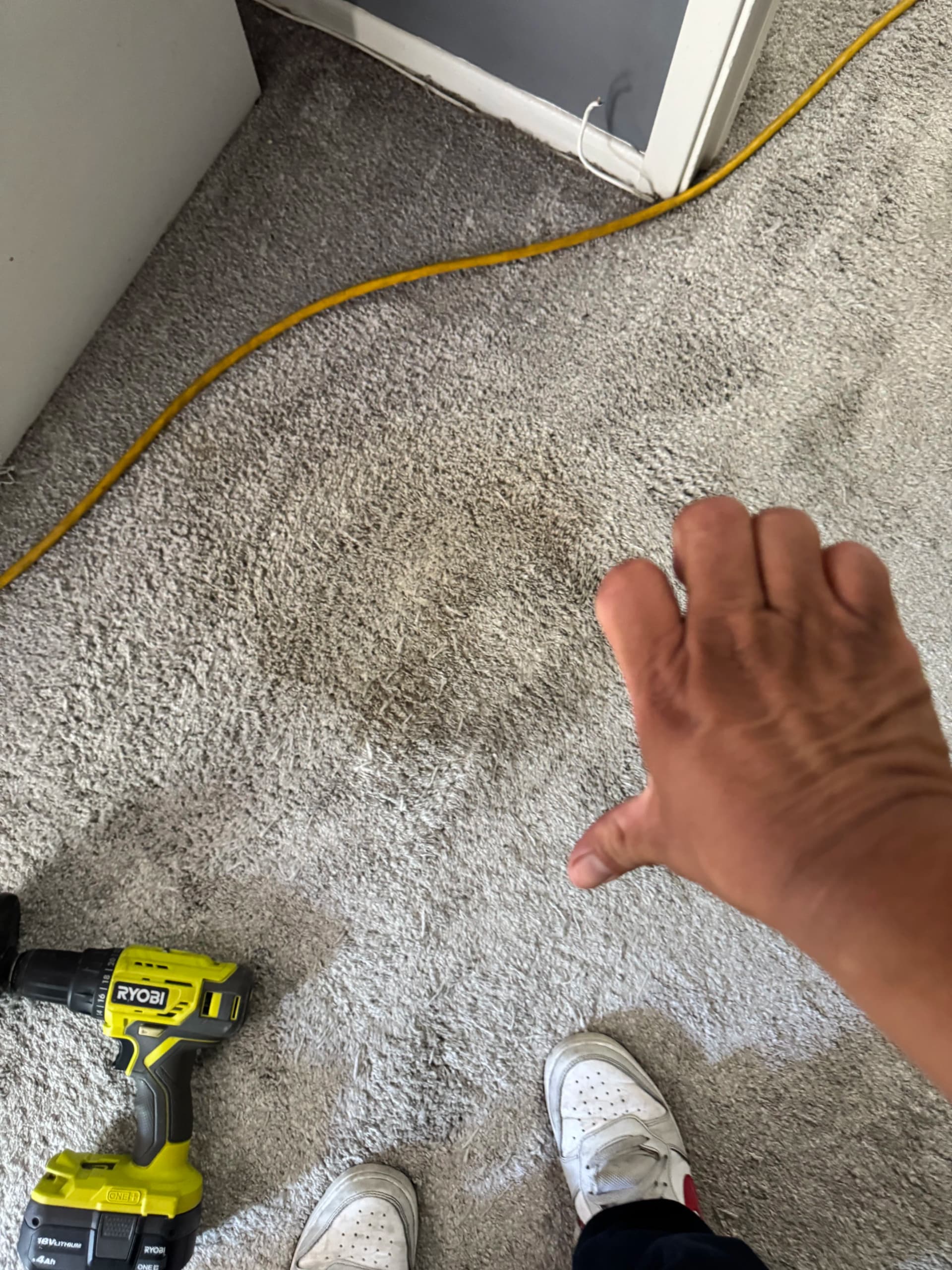 Gallery photos for North Hollywood Carpet Cleaning That Actually Gets the Dirt Out: Image #2