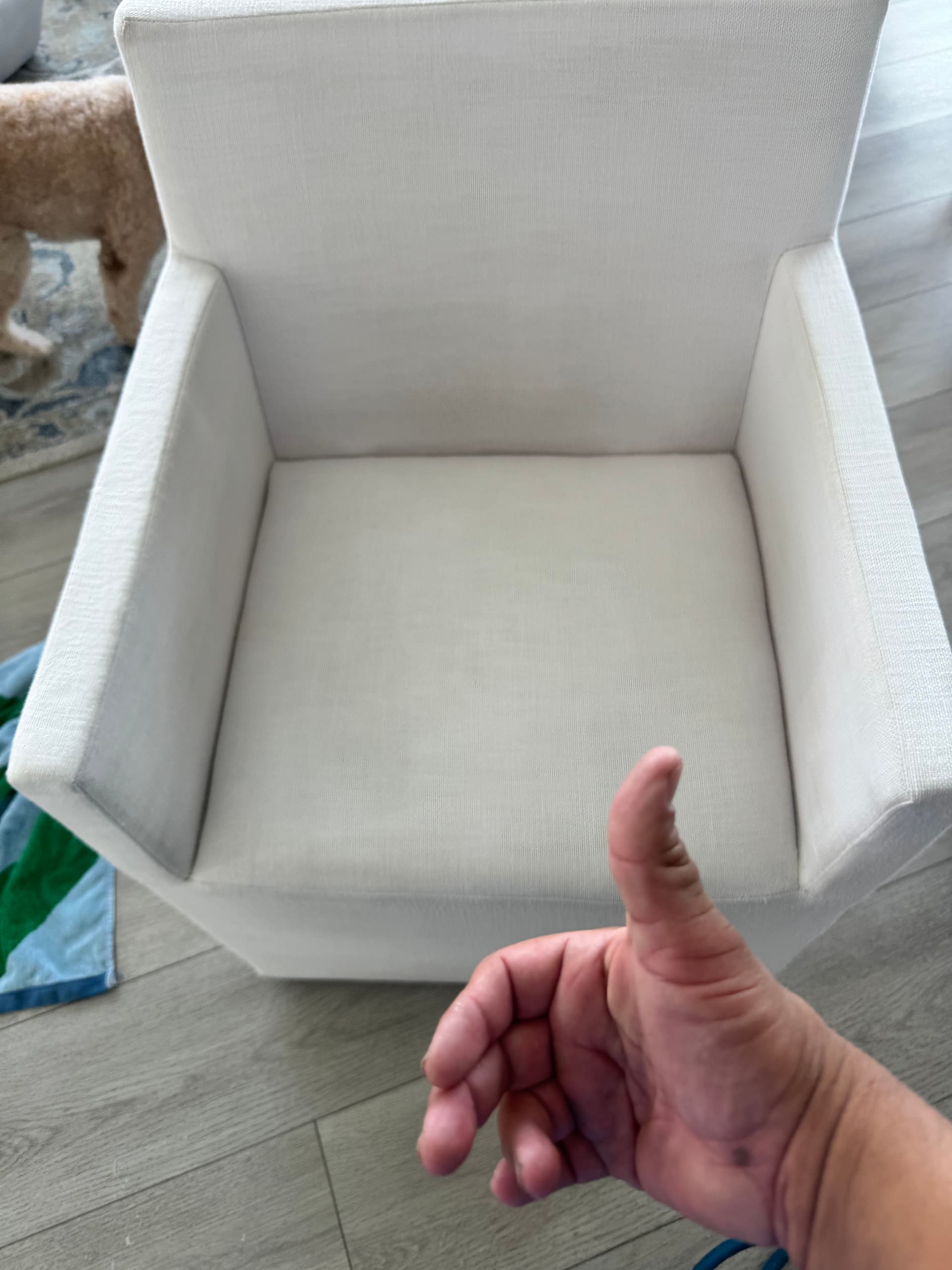 Gallery photos for Chair and Sofa Upholstery Cleaning in Beverly Hills: Image #2