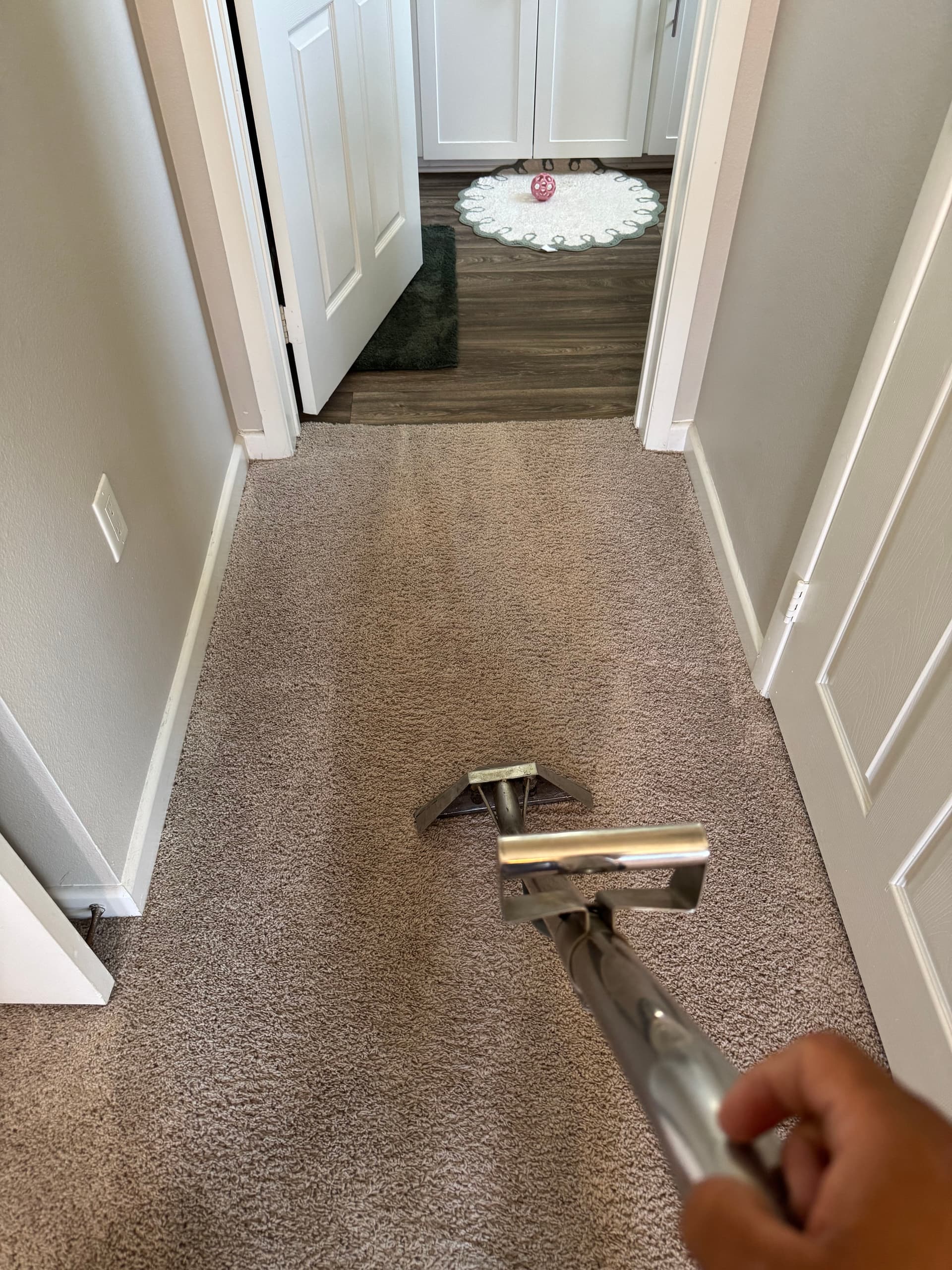 Gallery photos for Spotless Carpets Shine in Pasadena: Image #2