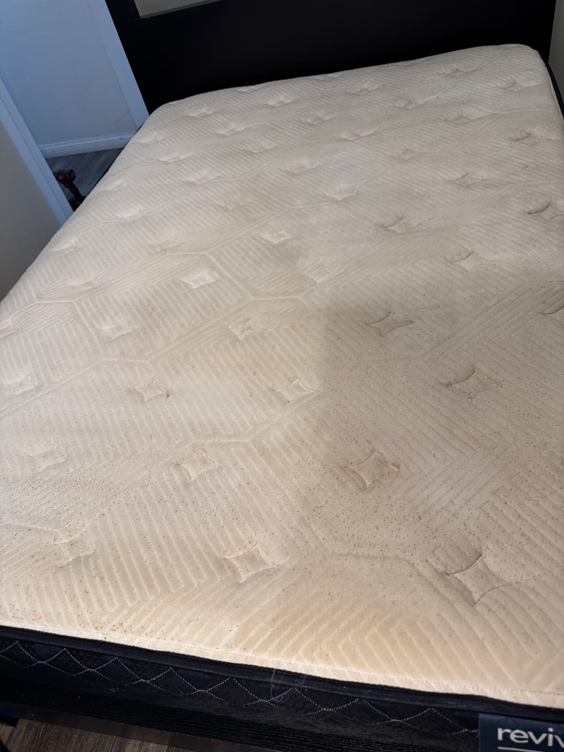 Gallery photos for Mattress Cleaning Done Right in Santa Monica: Image #1