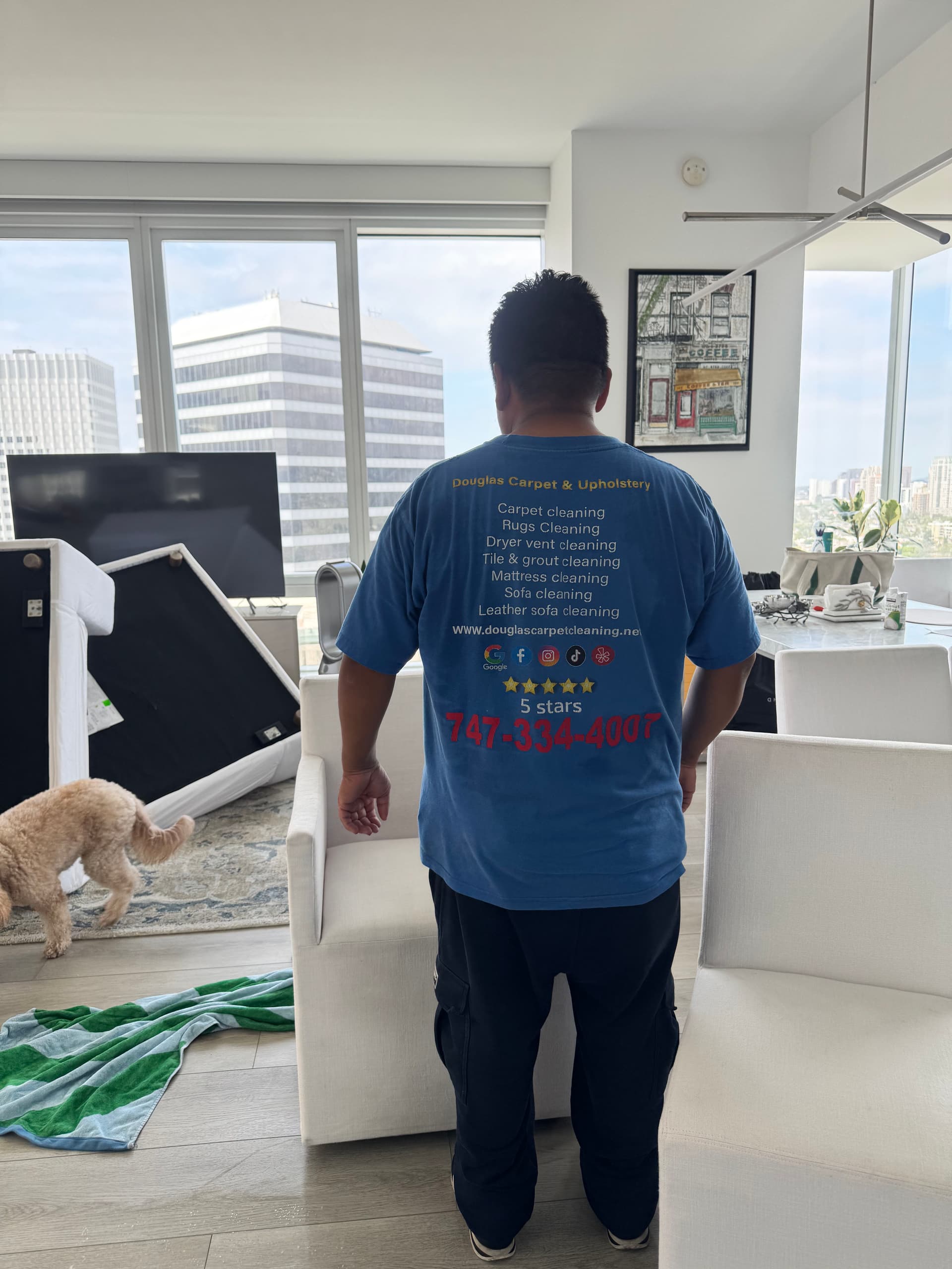 Chair and Sofa Upholstery Cleaning in Beverly Hills image
