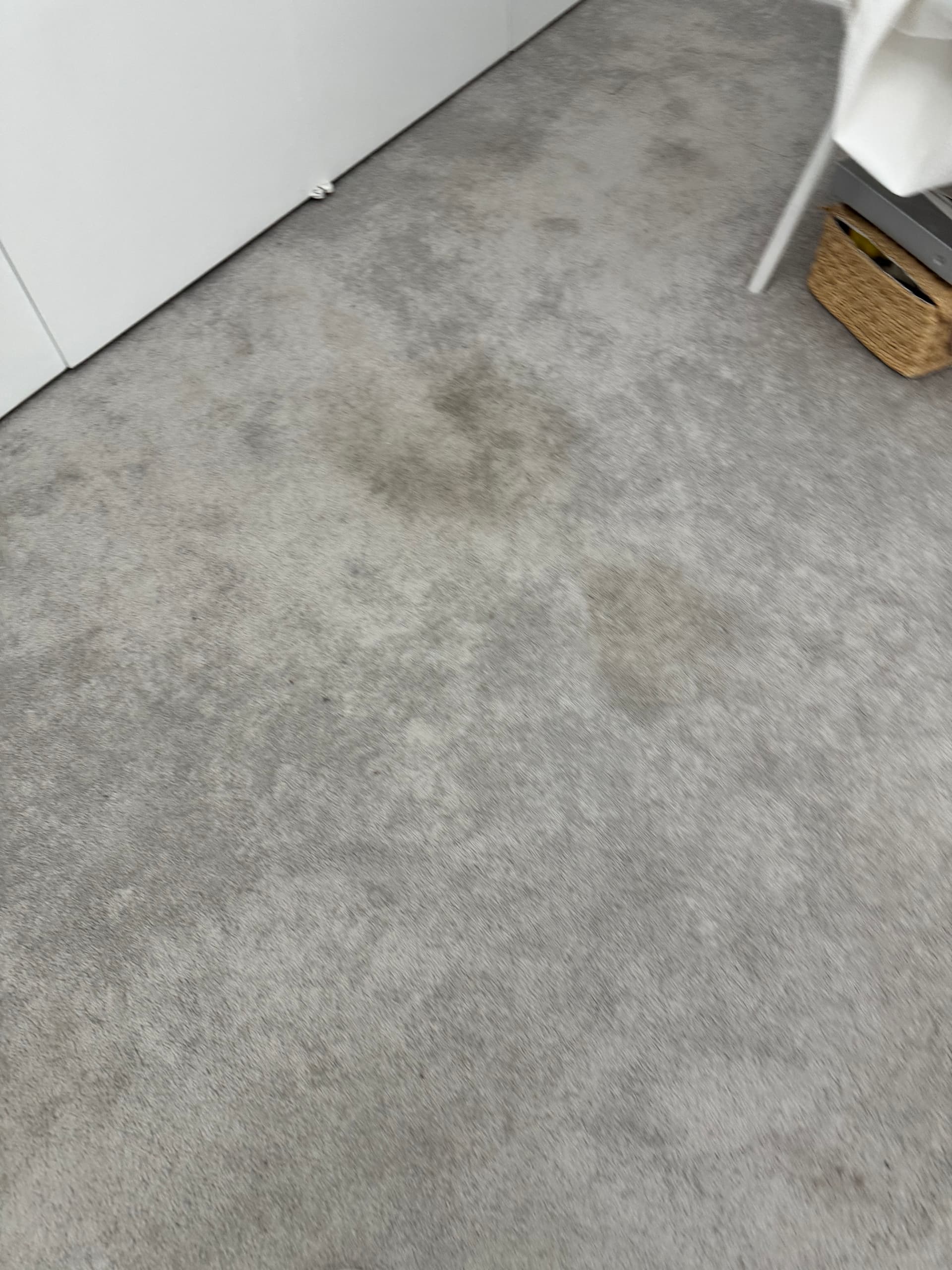 Gallery photos for Sherman Oaks Bedroom Carpet Cleaned Back to Life: Image #3