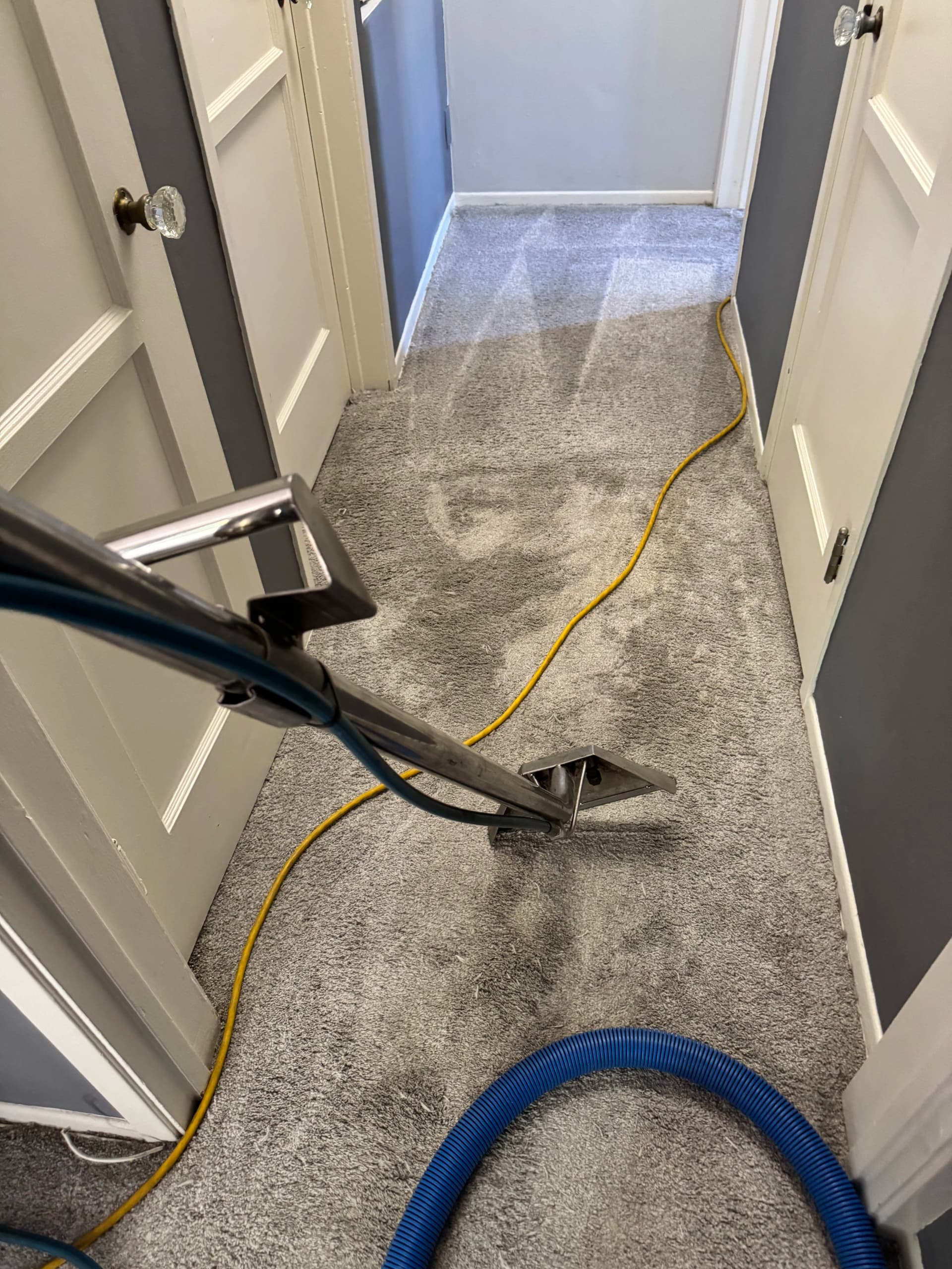 Gallery photos for North Hollywood Carpet Cleaning That Actually Gets the Dirt Out: Image #1