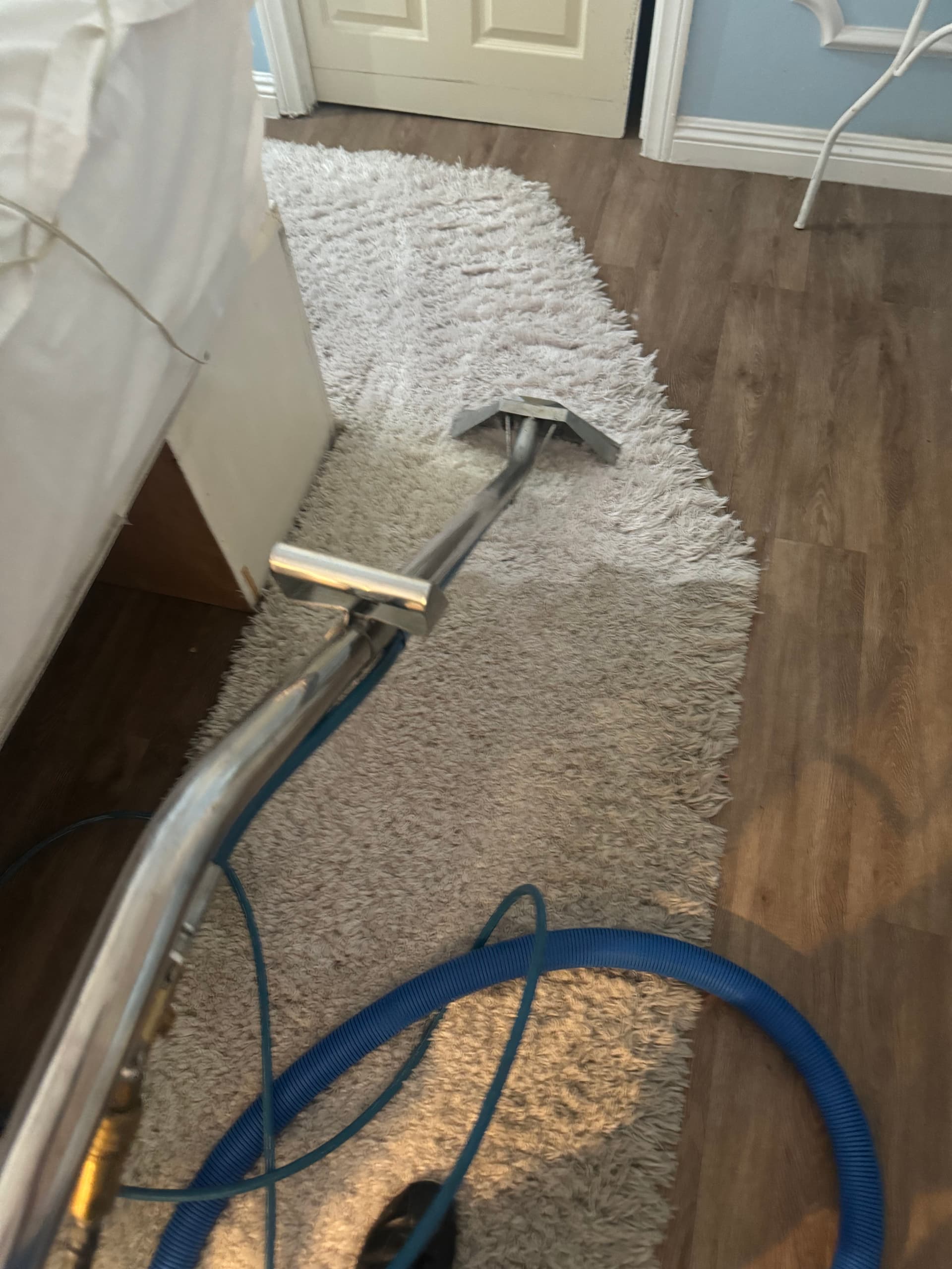 Gallery photos for Deep Carpet Cleaning Job in Oxnard That Speaks for Itself: Image #3