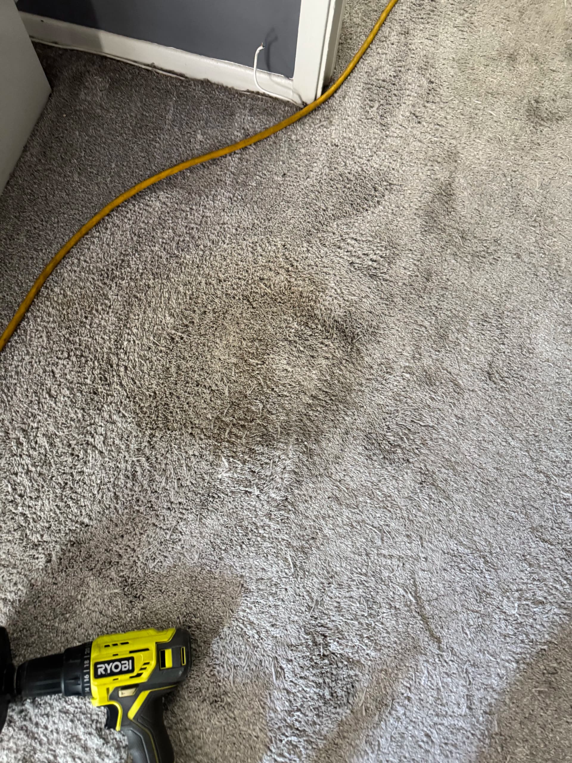 Gallery photos for North Hollywood Carpet Cleaning That Actually Gets the Dirt Out: Image #3
