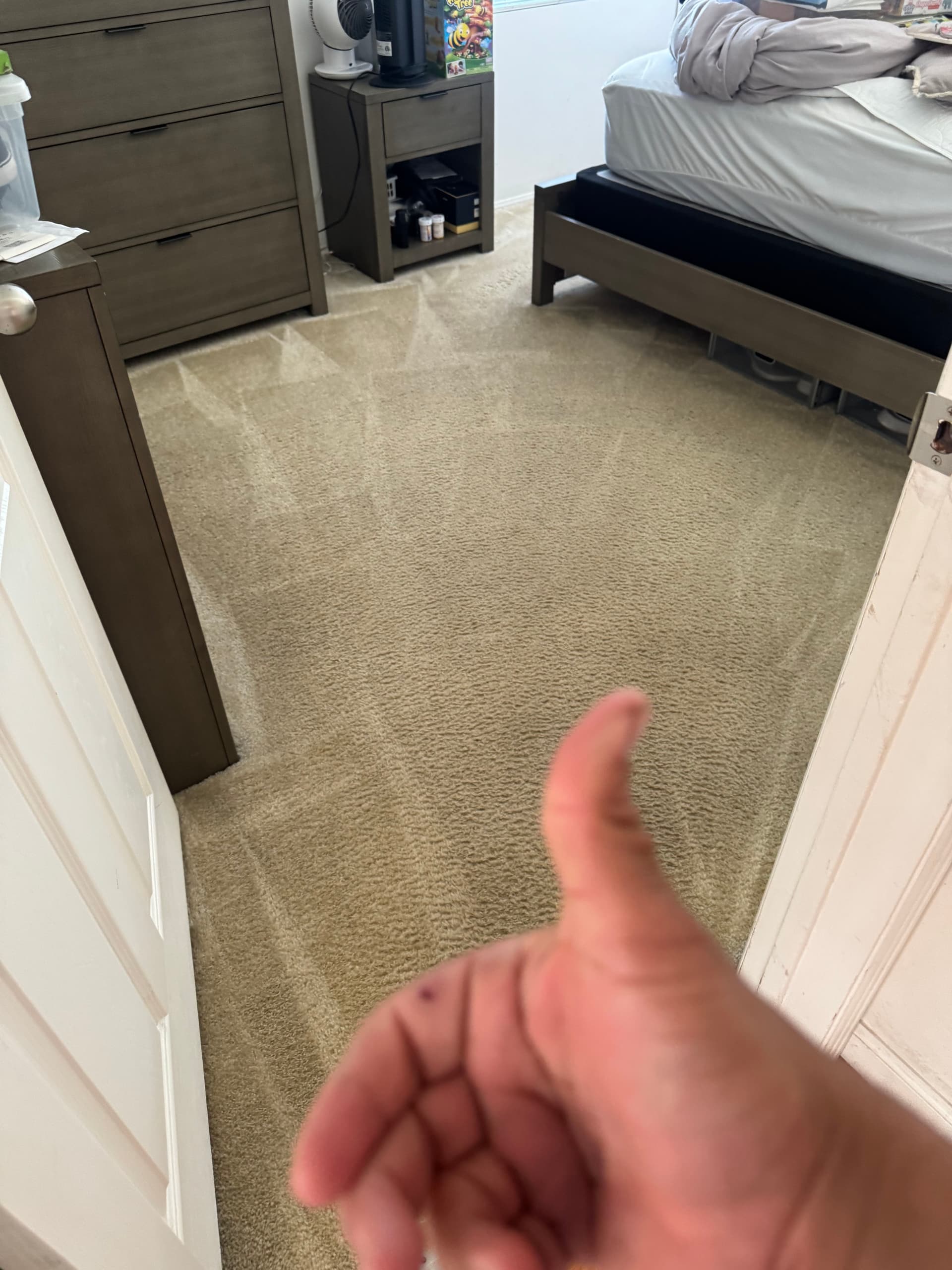 Gallery photos for Carpet Cleaning Magic in Los Angeles: Image #2
