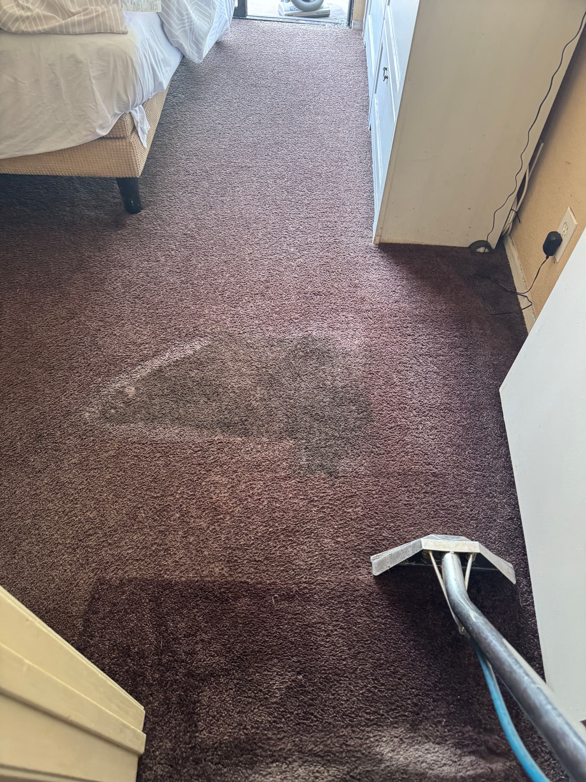 Gallery photos for Deep Carpet Cleaning Done Right in Orange County: Image #2
