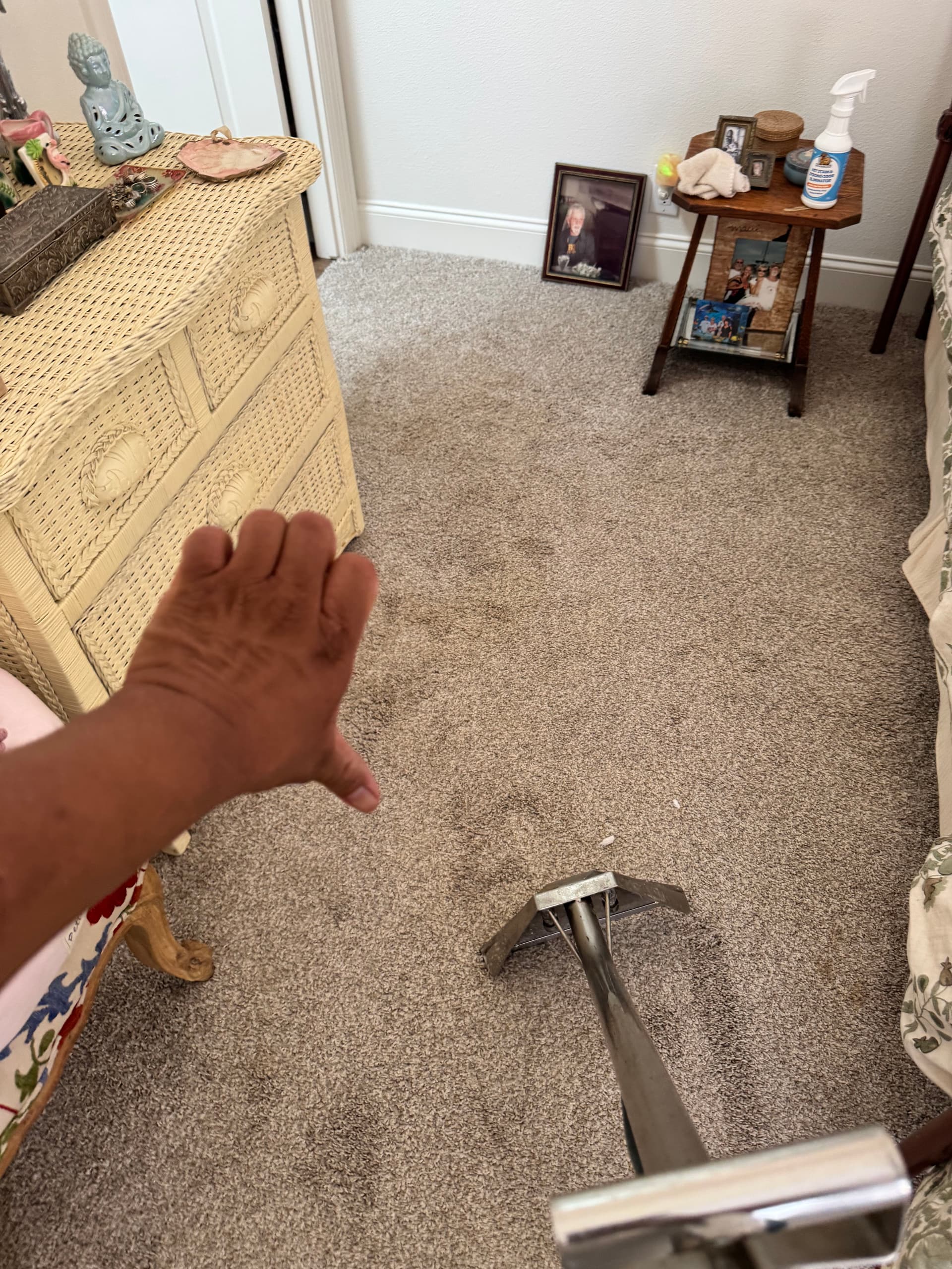 Bedroom Carpet Cleaning Done Right in Beverly Hills image