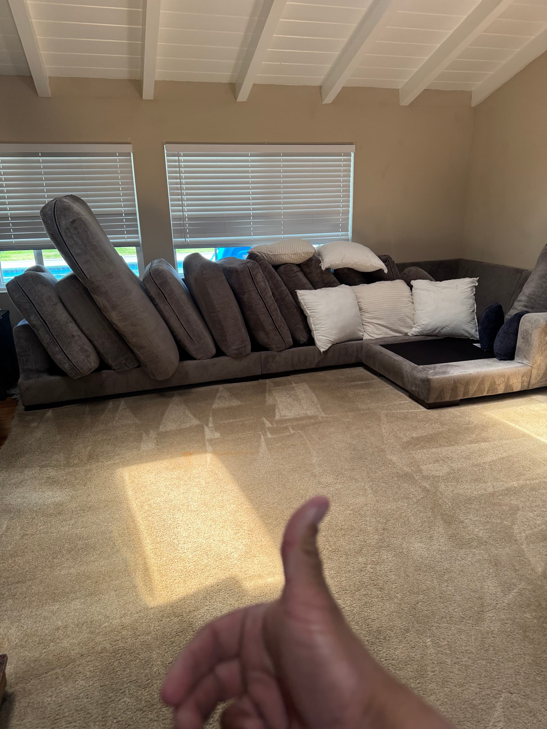 Gallery photos for Carpet and Upholstery Cleaning in Encino Living Room: Image #1