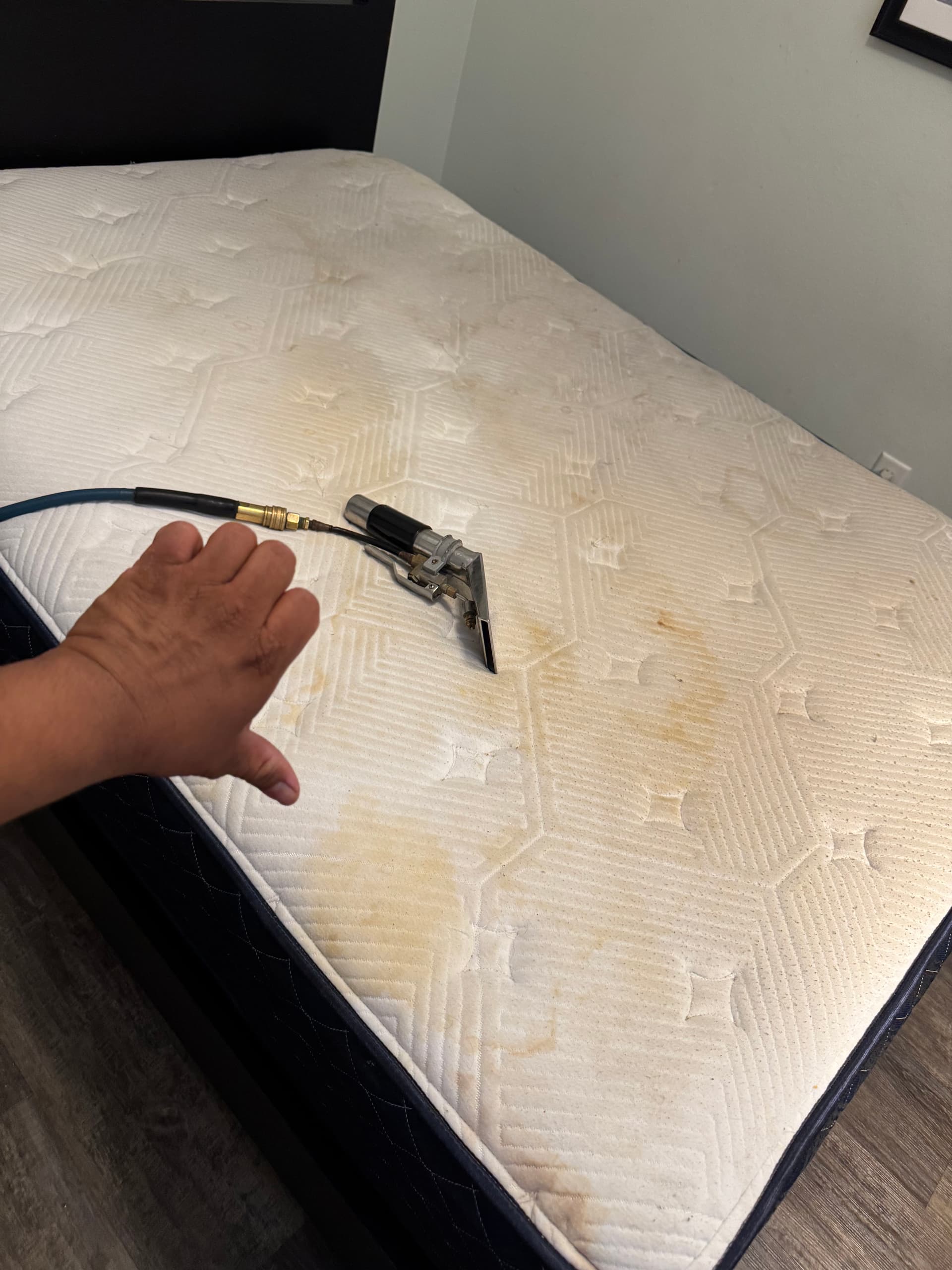 Mattress Cleaning Done Right in Santa Monica image