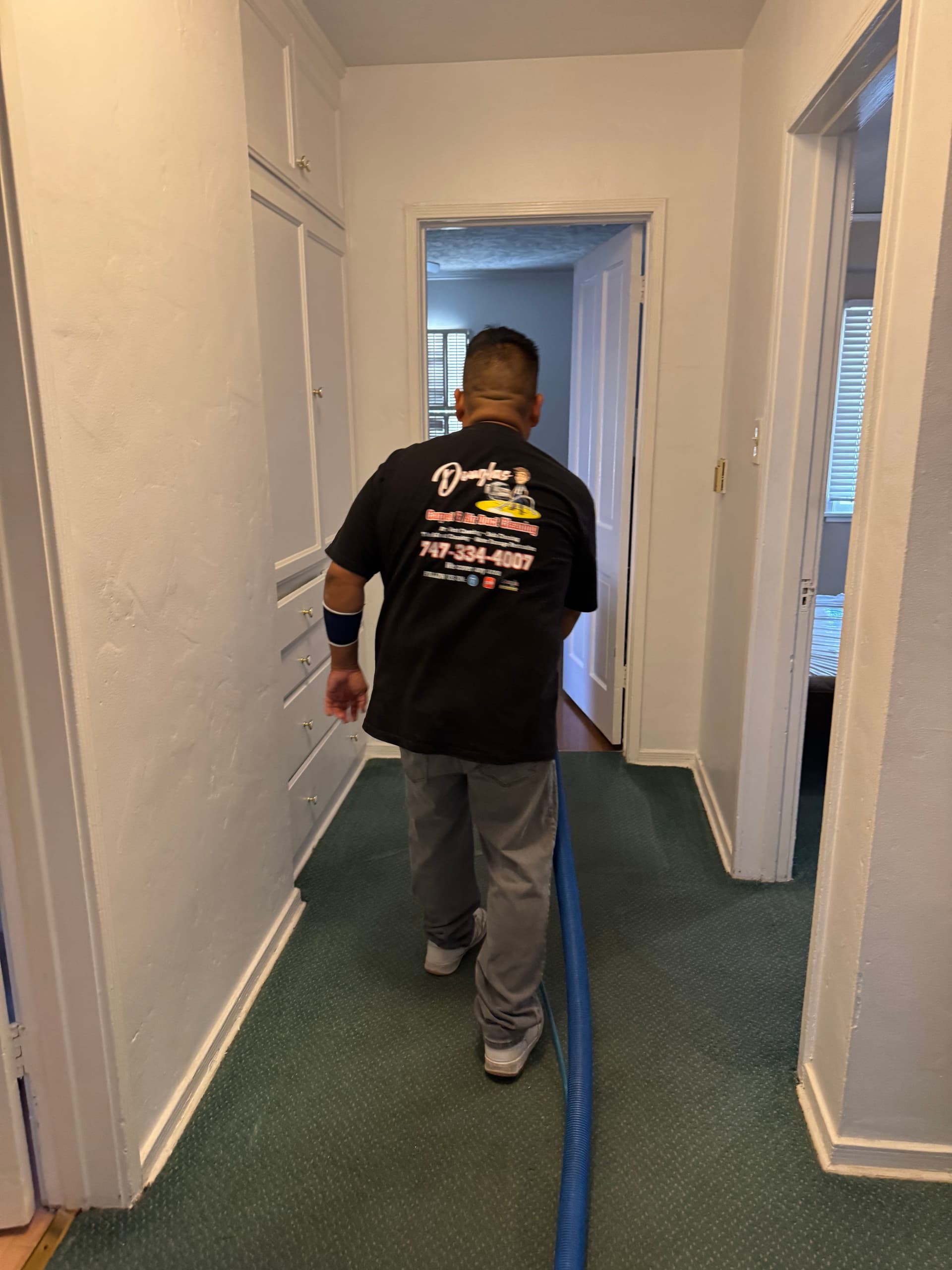 Gallery photos for Stained Los Angeles Carpet Cleaned Back to Life: Image #1