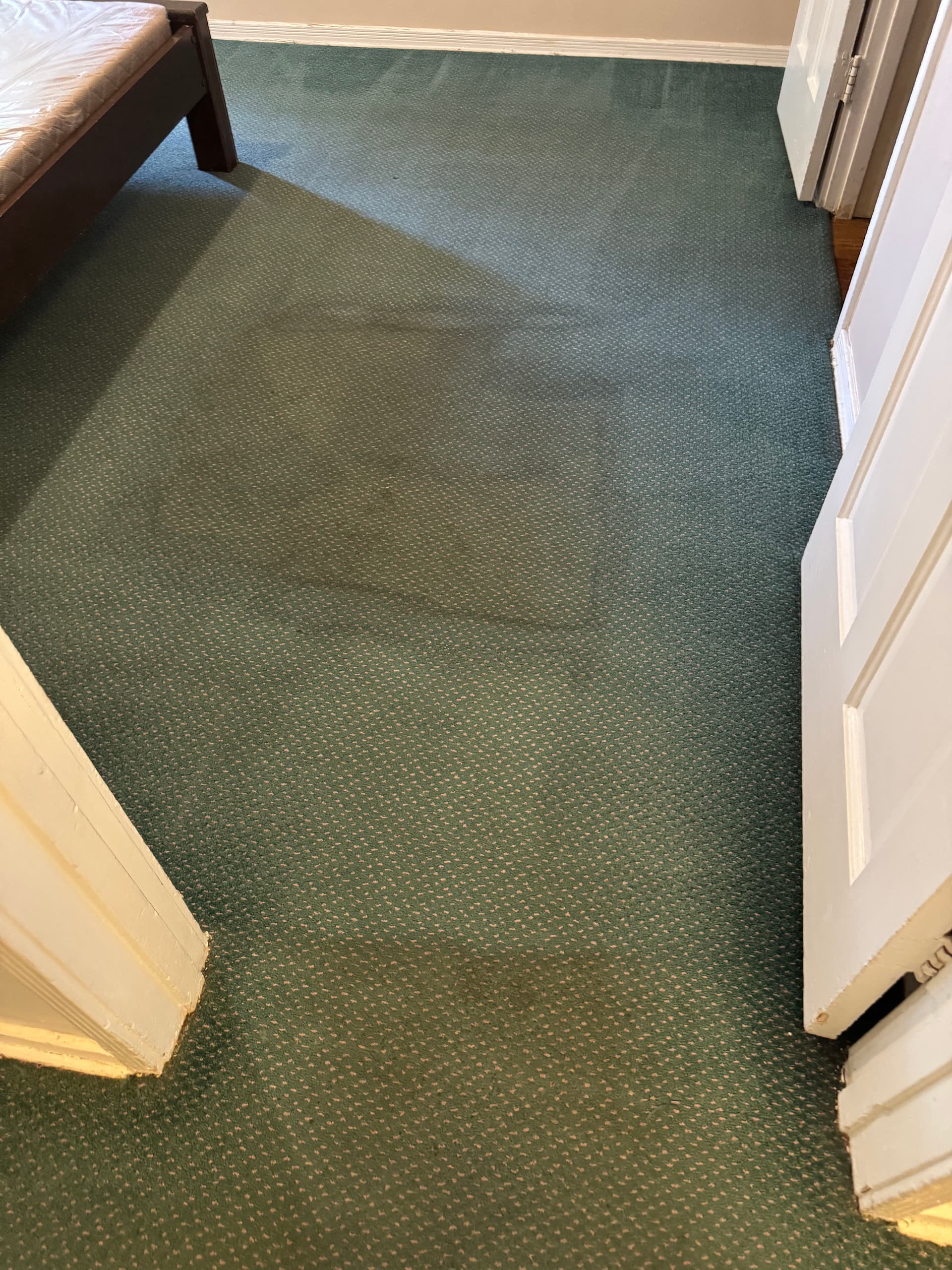 Stained Los Angeles Carpet Cleaned Back to Life image