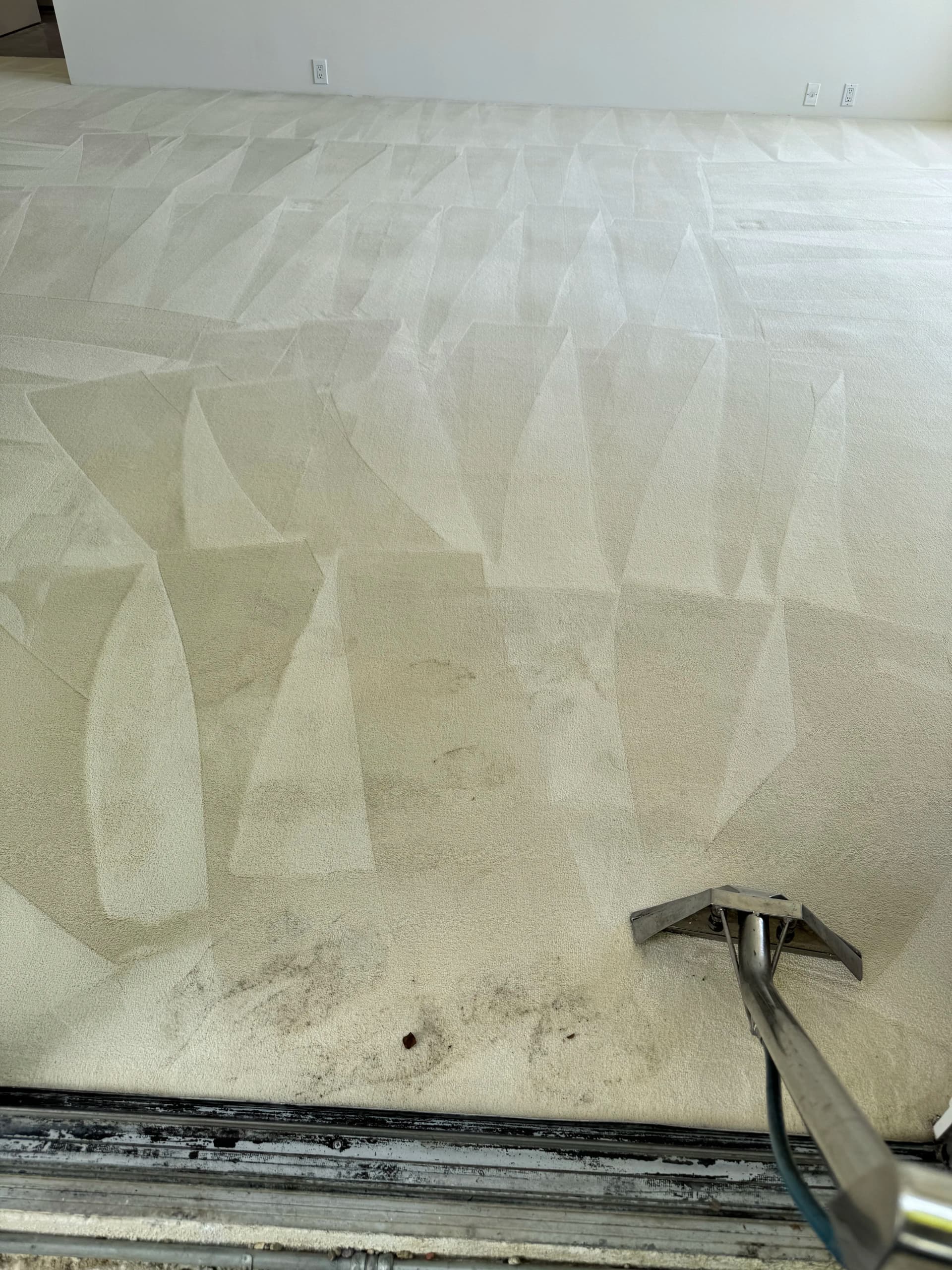 Carpet Cleaning in Beverly Hills That Actually Delivers image