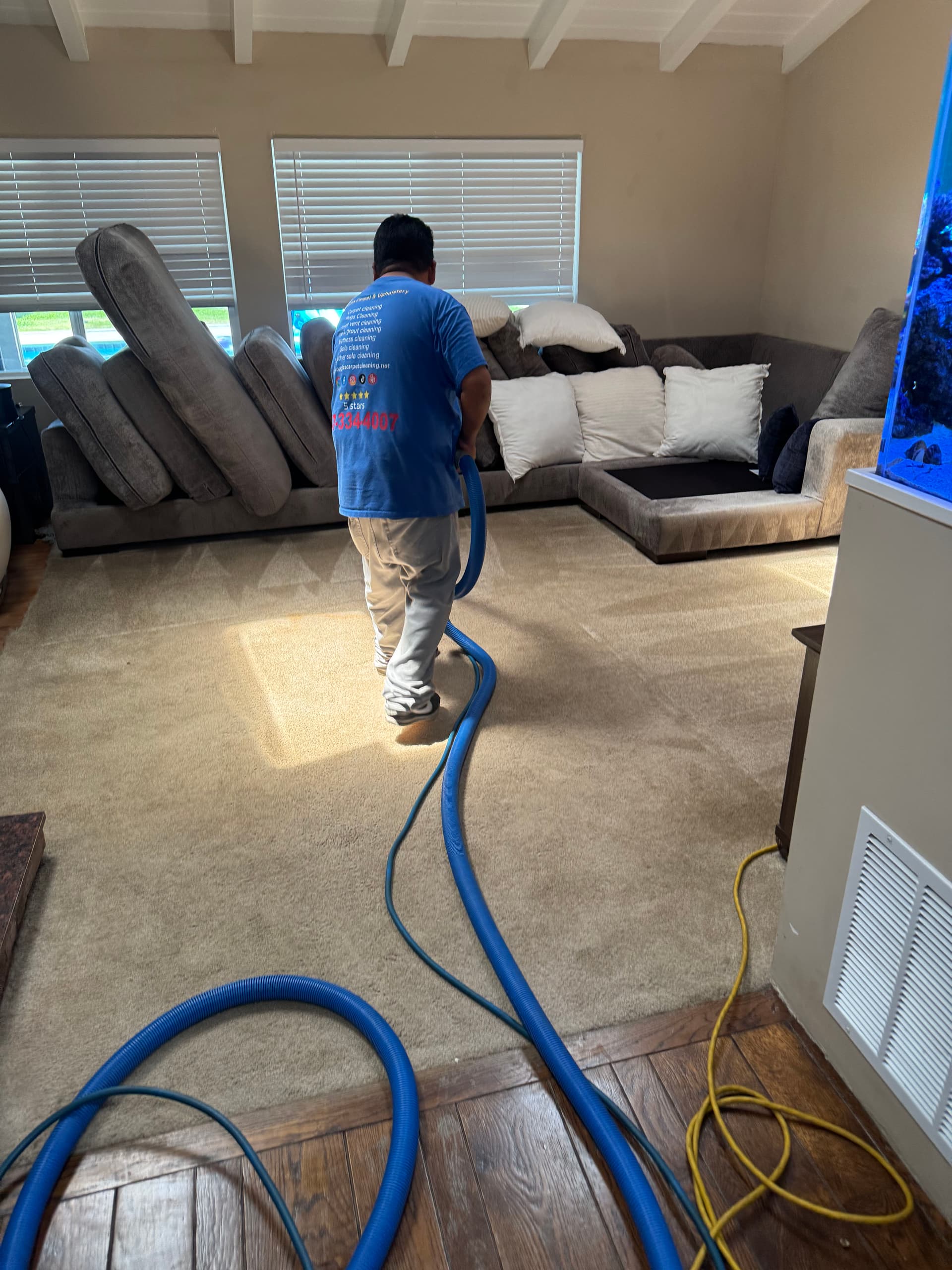 Gallery photos for Carpet and Upholstery Cleaning in Encino Living Room: Image #3