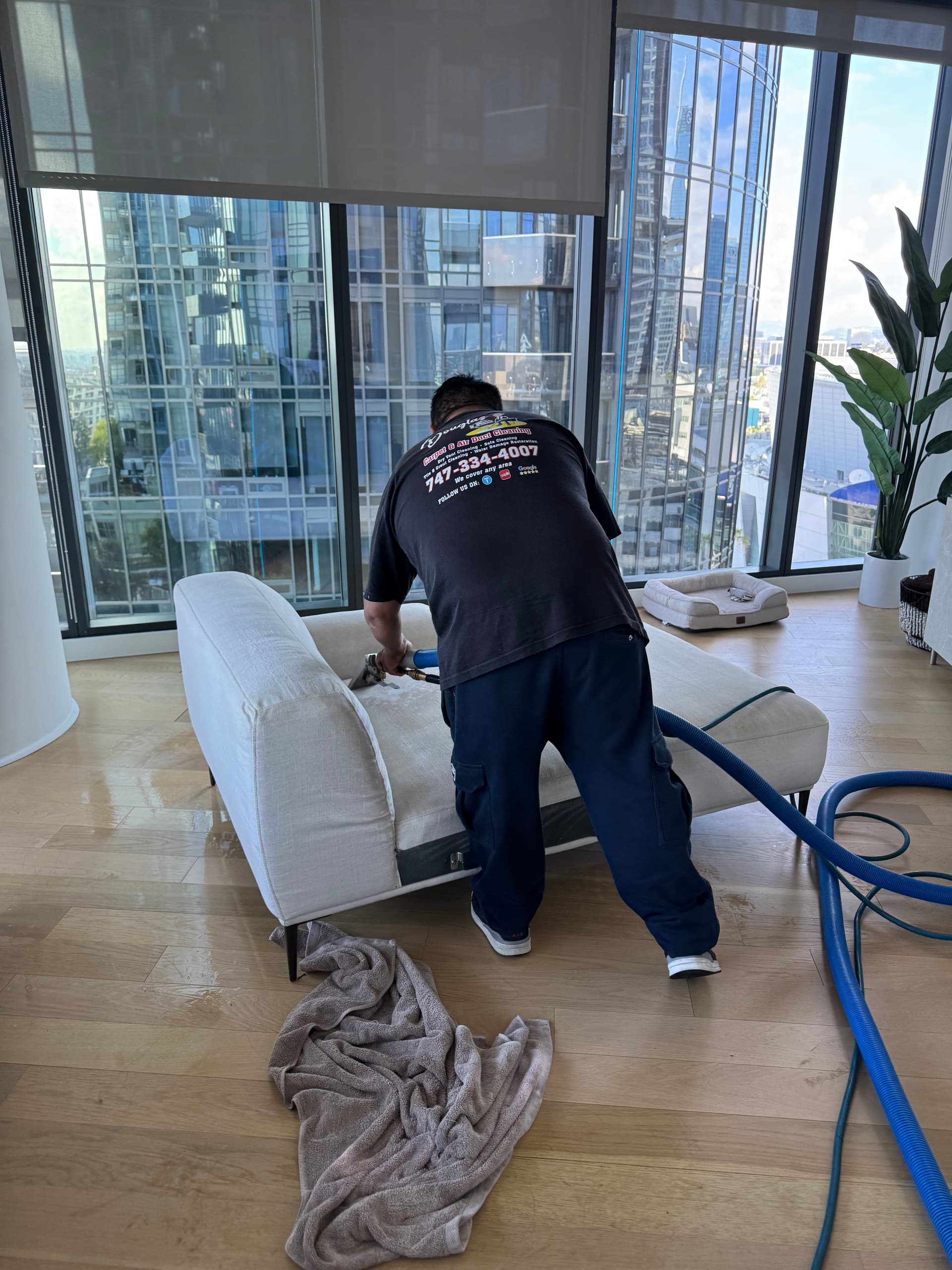 Gallery photos for White Sofa Cleaning in a Beverly Hills High-Rise: Image #3