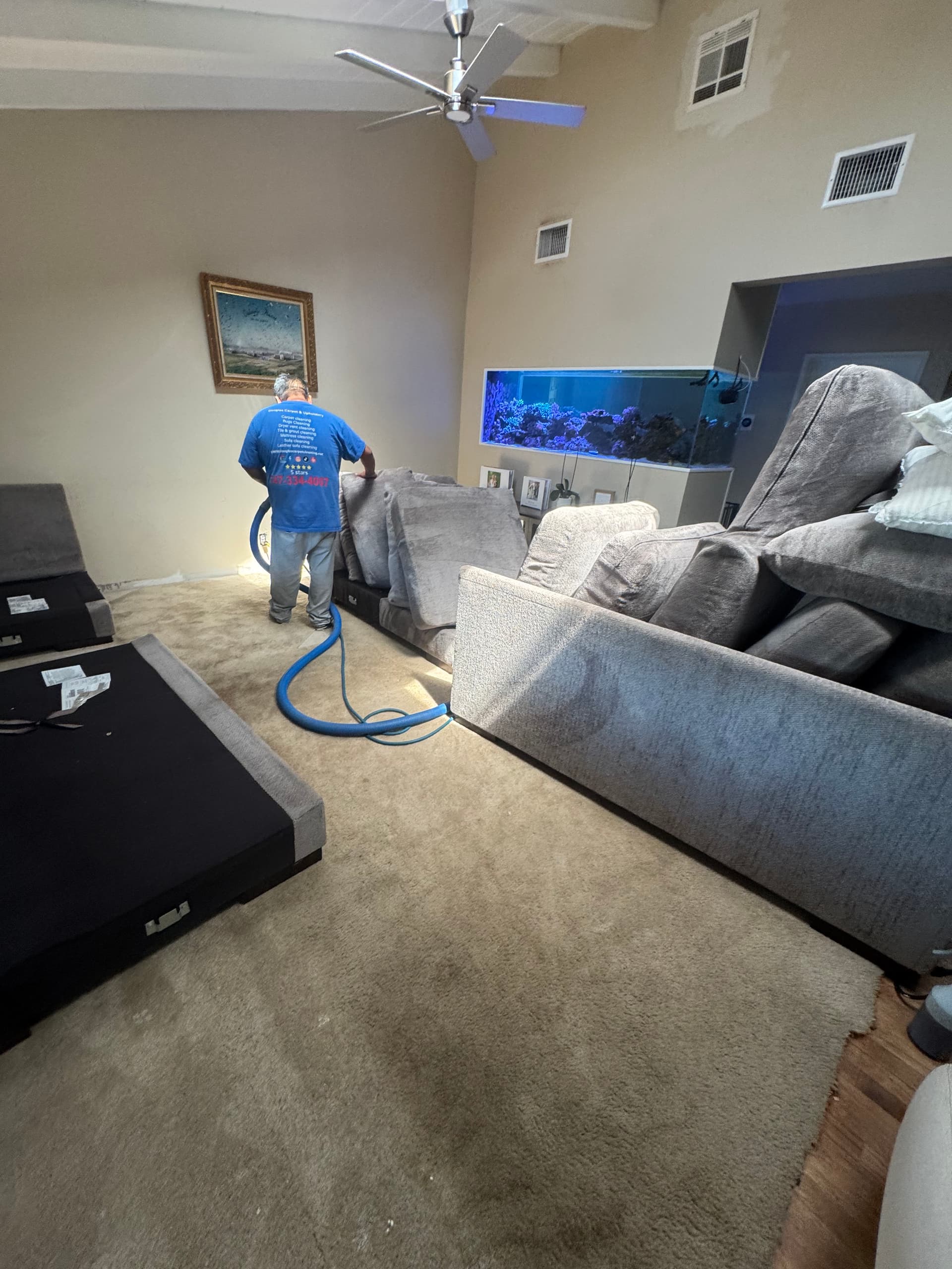 Gallery photos for Carpet and Sofa Deep Clean in West Covina: Image #3