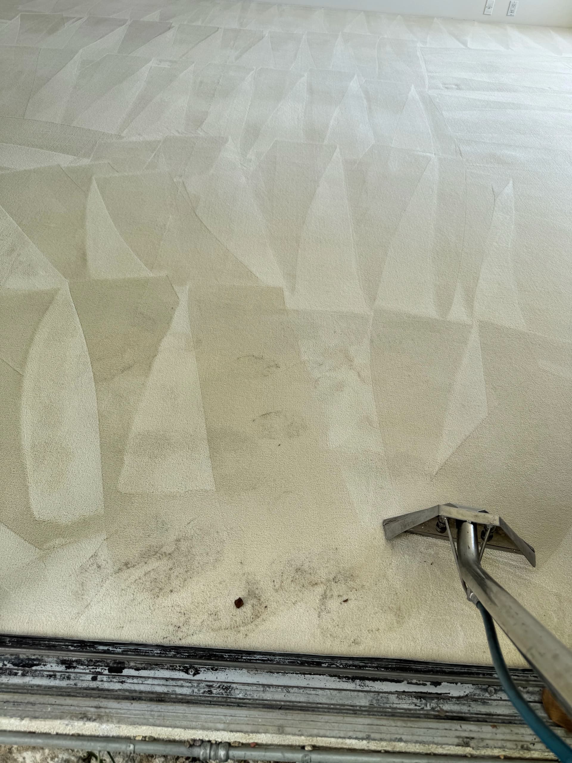 Gallery photos for Carpet Cleaning in Beverly Hills That Actually Delivers: Image #1