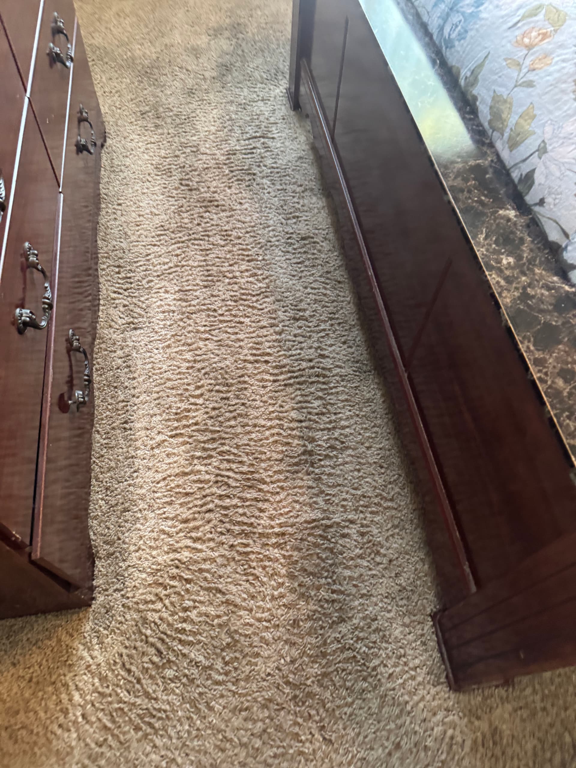 Gallery photos for Carpet Cleaning Magic in Thousand Oaks: Image #1