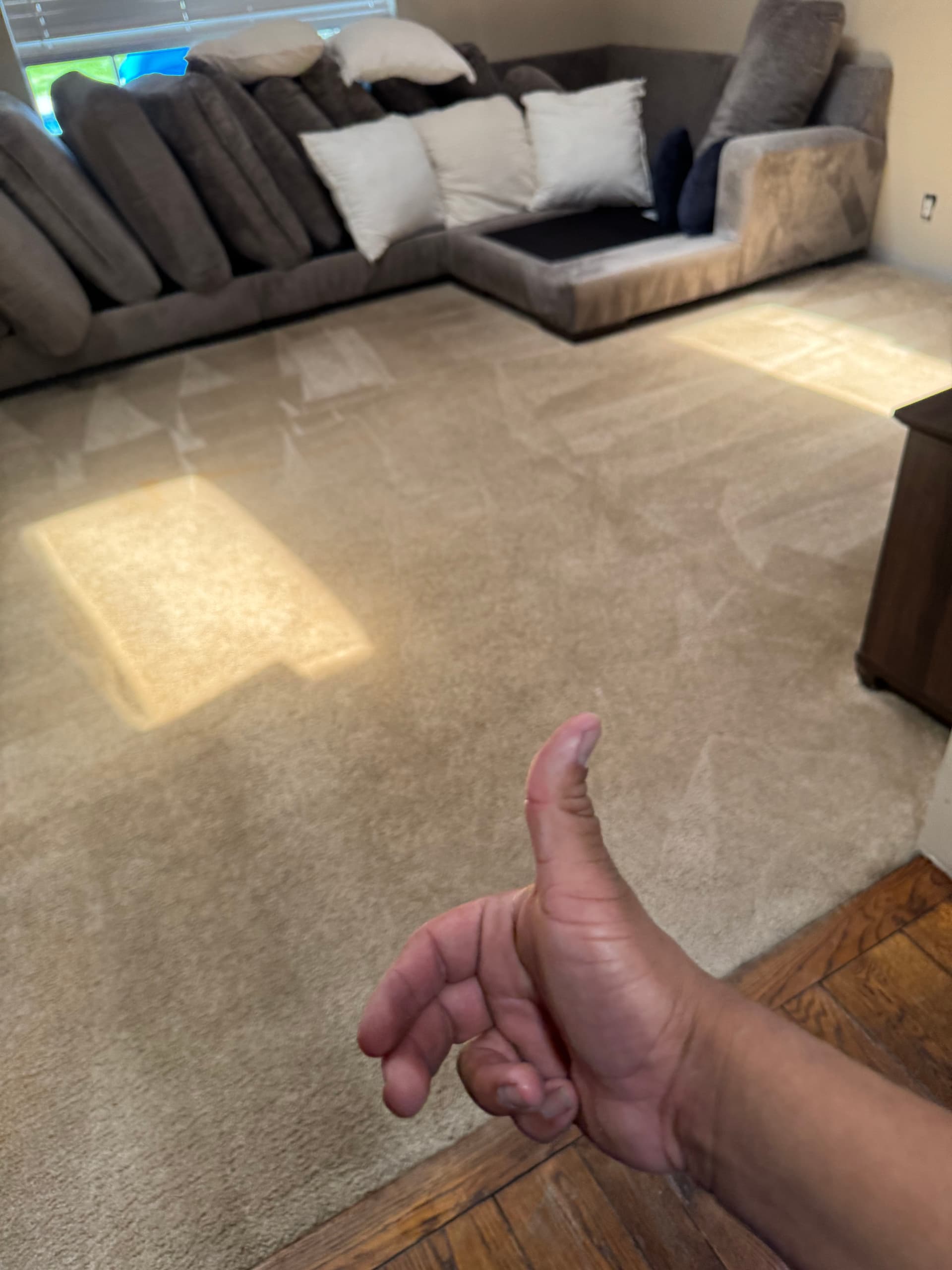 Gallery photos for Carpet and Upholstery Cleaning in Encino Living Room: Image #2