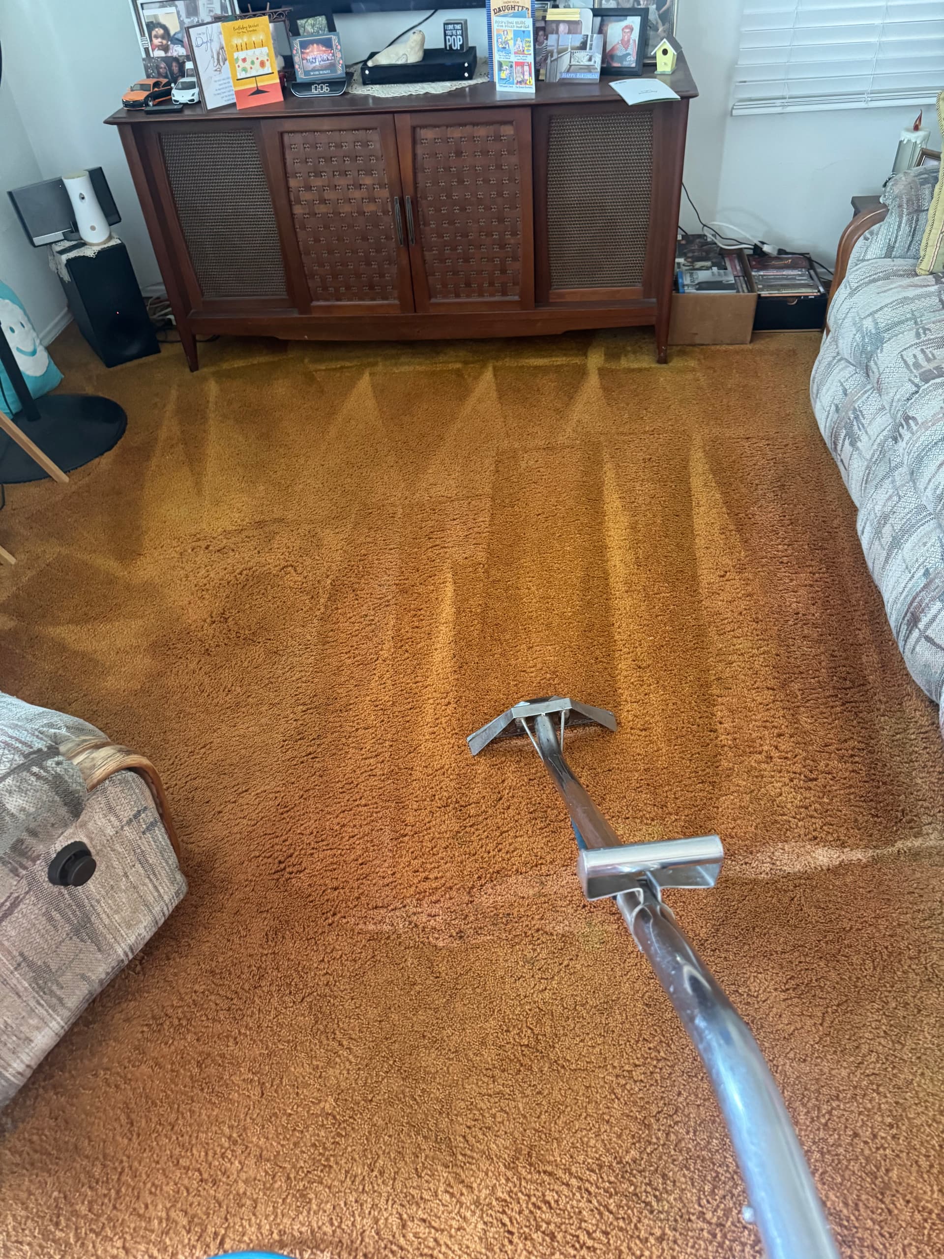 Gallery photos for Reviving Carpets in Beverly Hills: Image #1