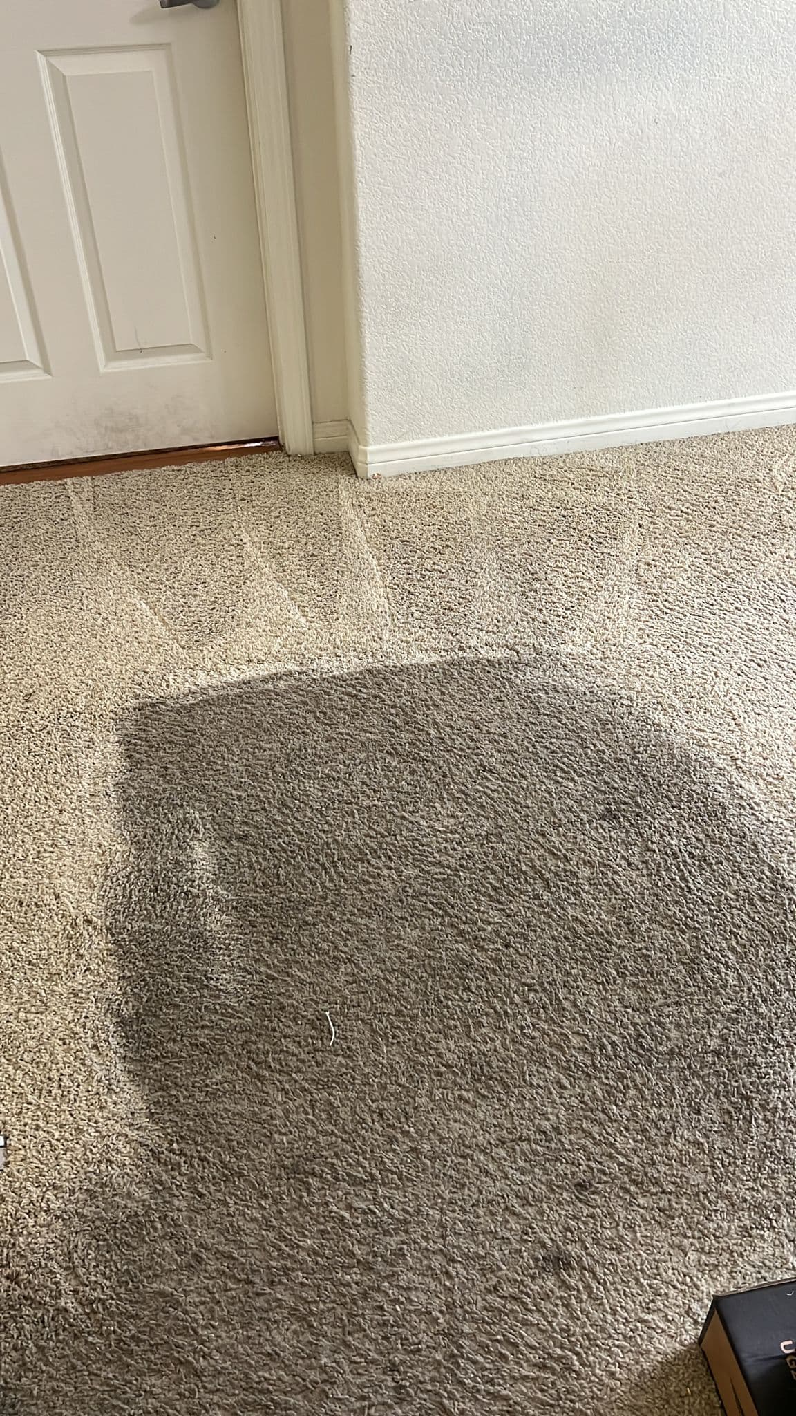 Deep Carpet Cleaning Job in Oxnard That Speaks for Itself image