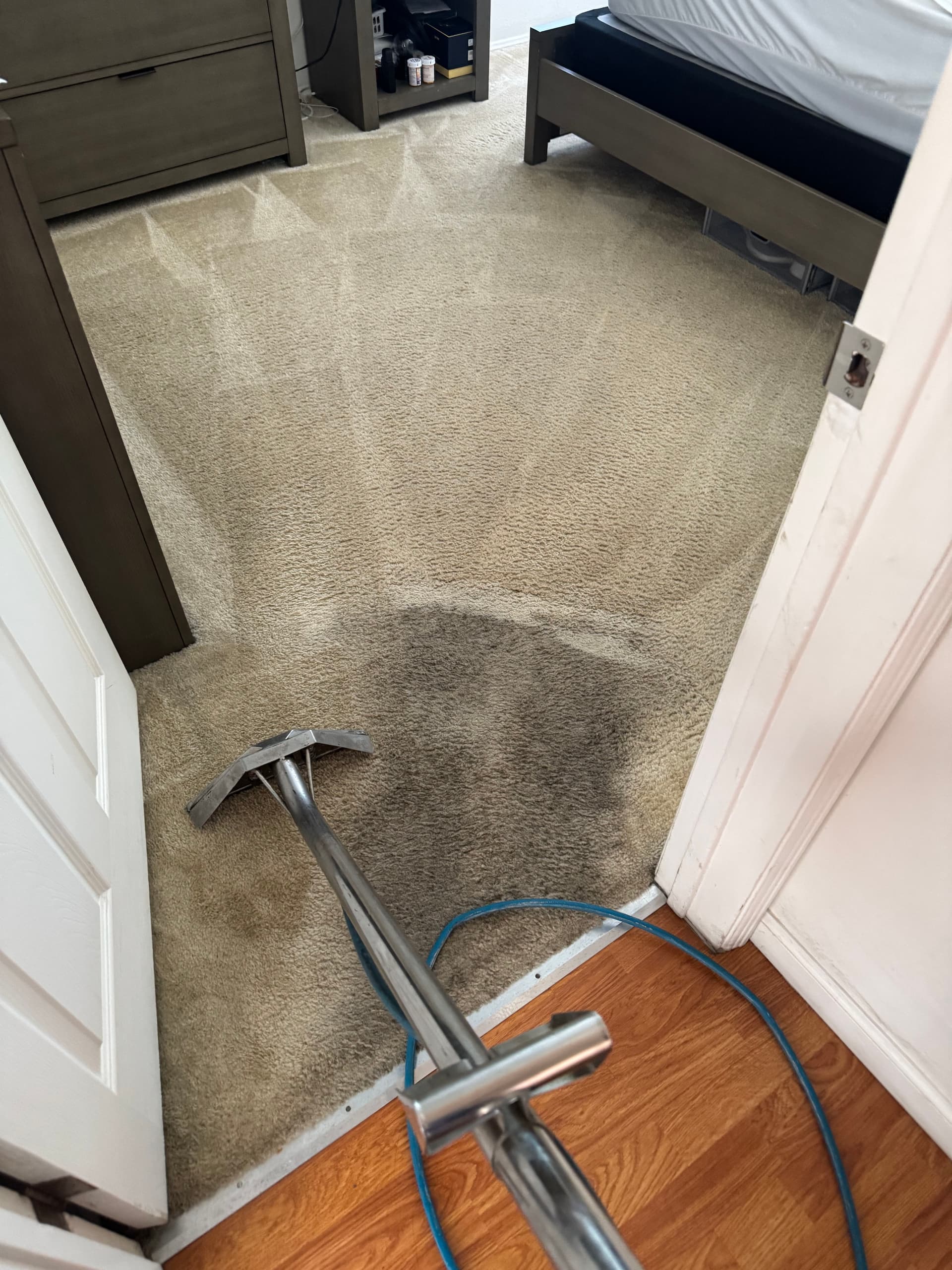 Gallery photos for Carpet Cleaning Magic in Los Angeles: Image #3