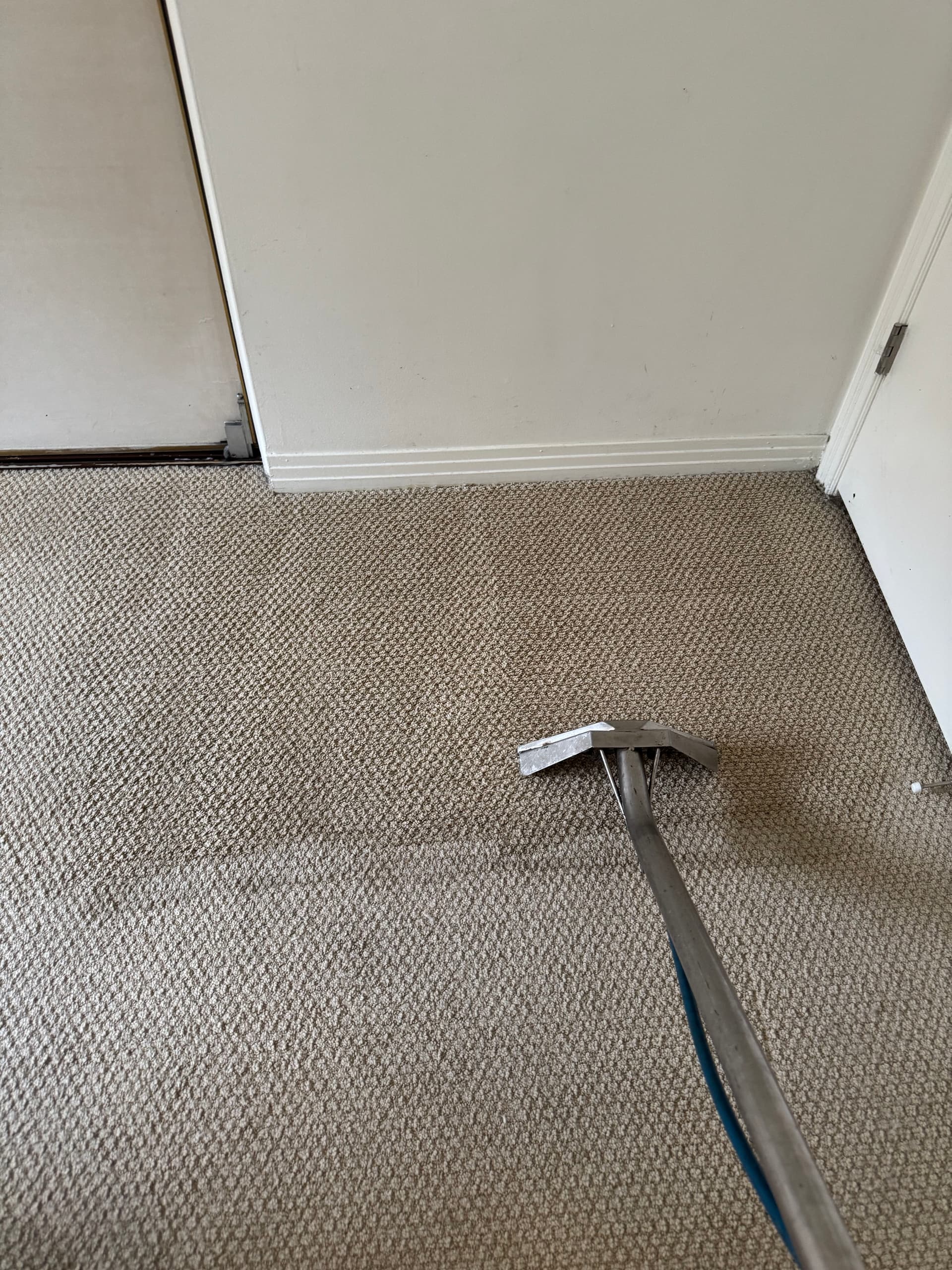 Gallery photos for Expert Carpet Cleaning in Van Nuys: Image #1