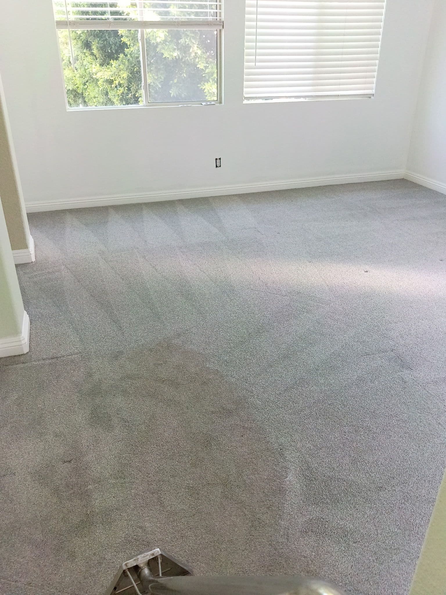 Gallery photos for Carpet Cleaning in Thousand Oaks That Actually Shows Results: Image #1