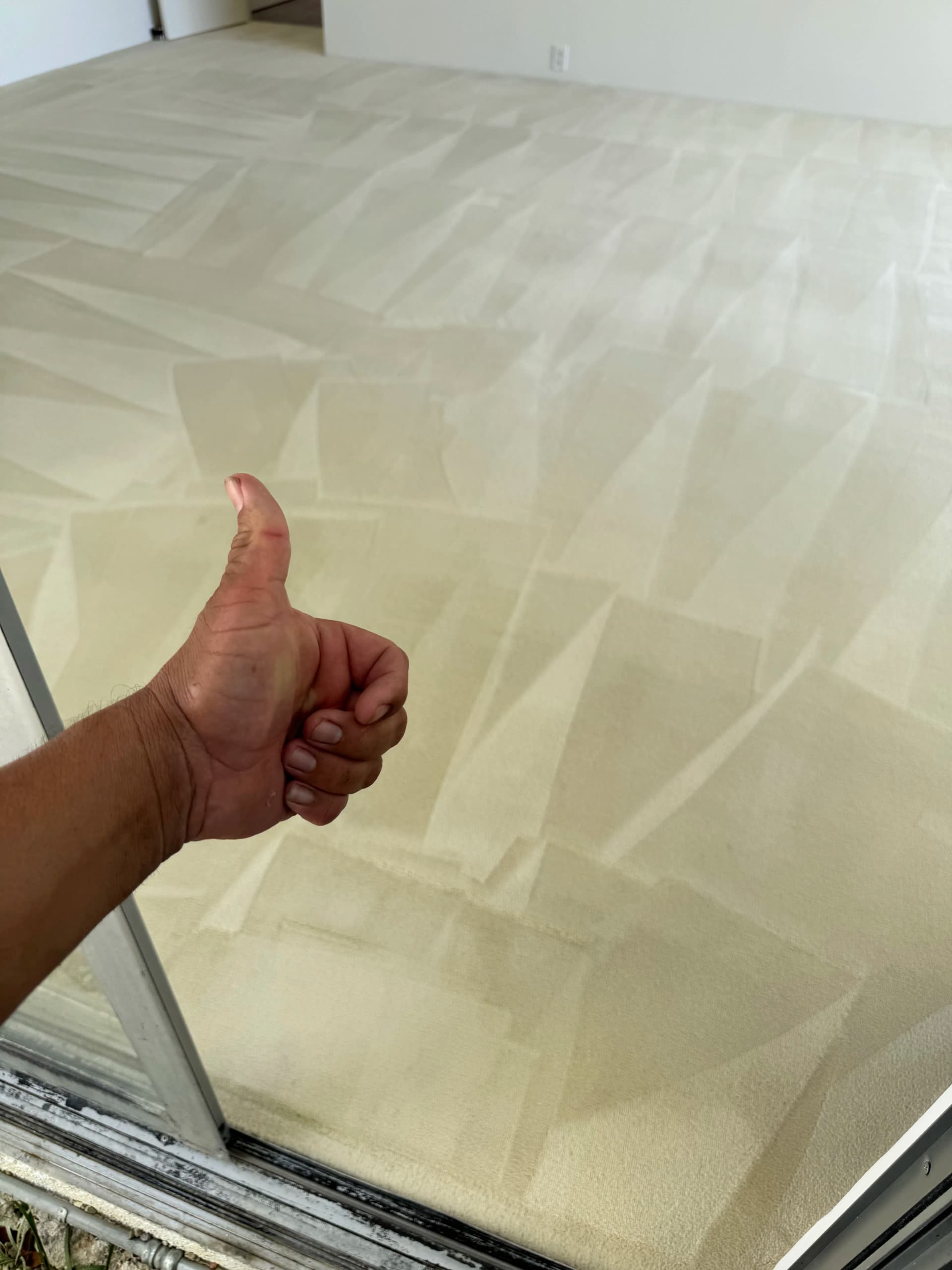 Gallery photos for Carpet Cleaning in Beverly Hills That Actually Delivers: Image #2