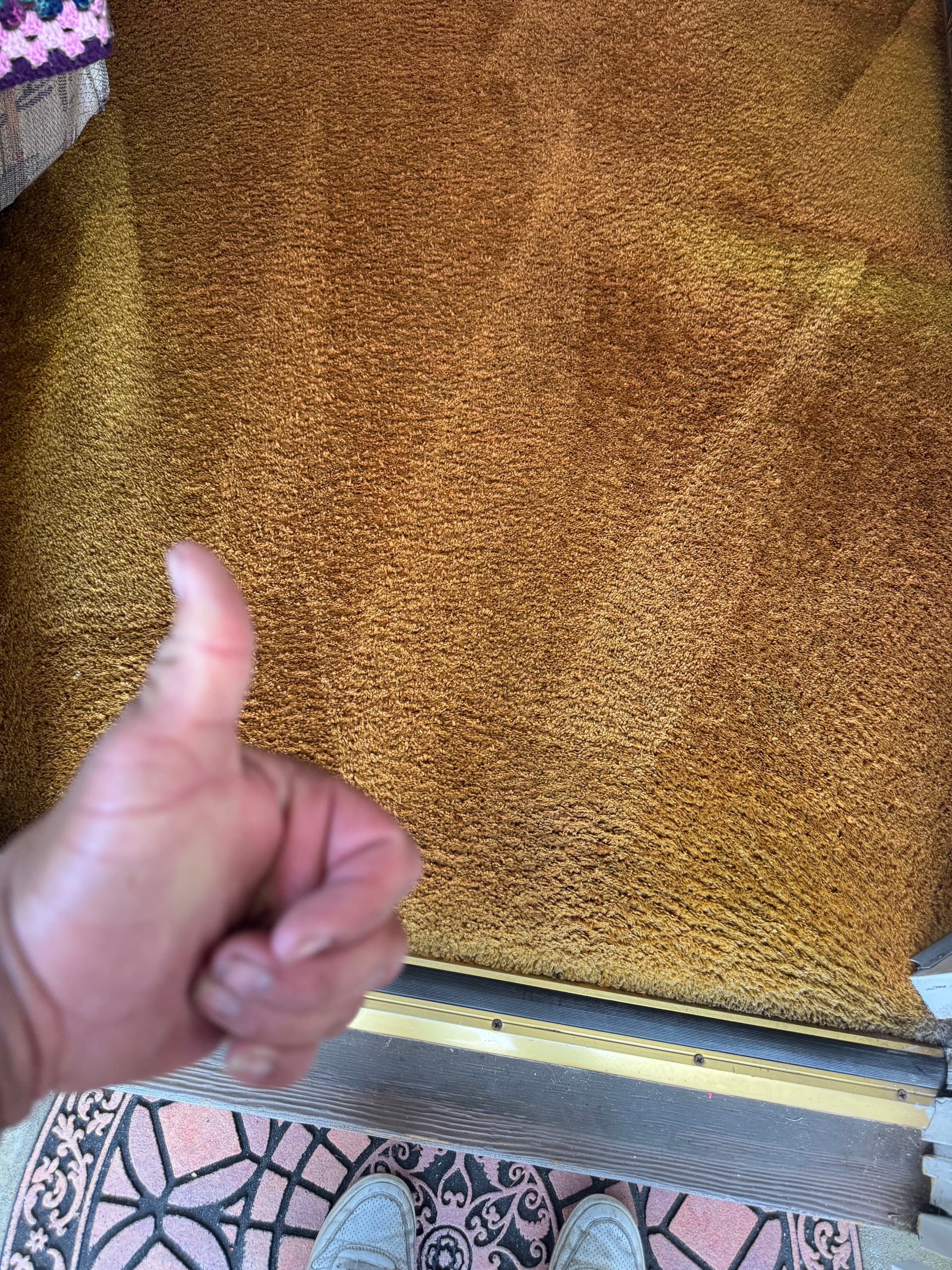 Gallery photos for Reviving Carpets in Beverly Hills: Image #3