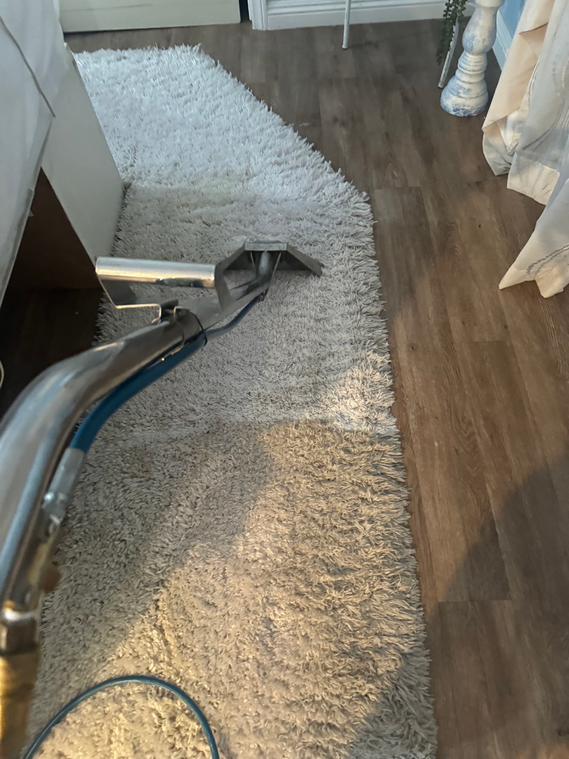Gallery photos for Deep Carpet Cleaning Job in Oxnard That Speaks for Itself: Image #2