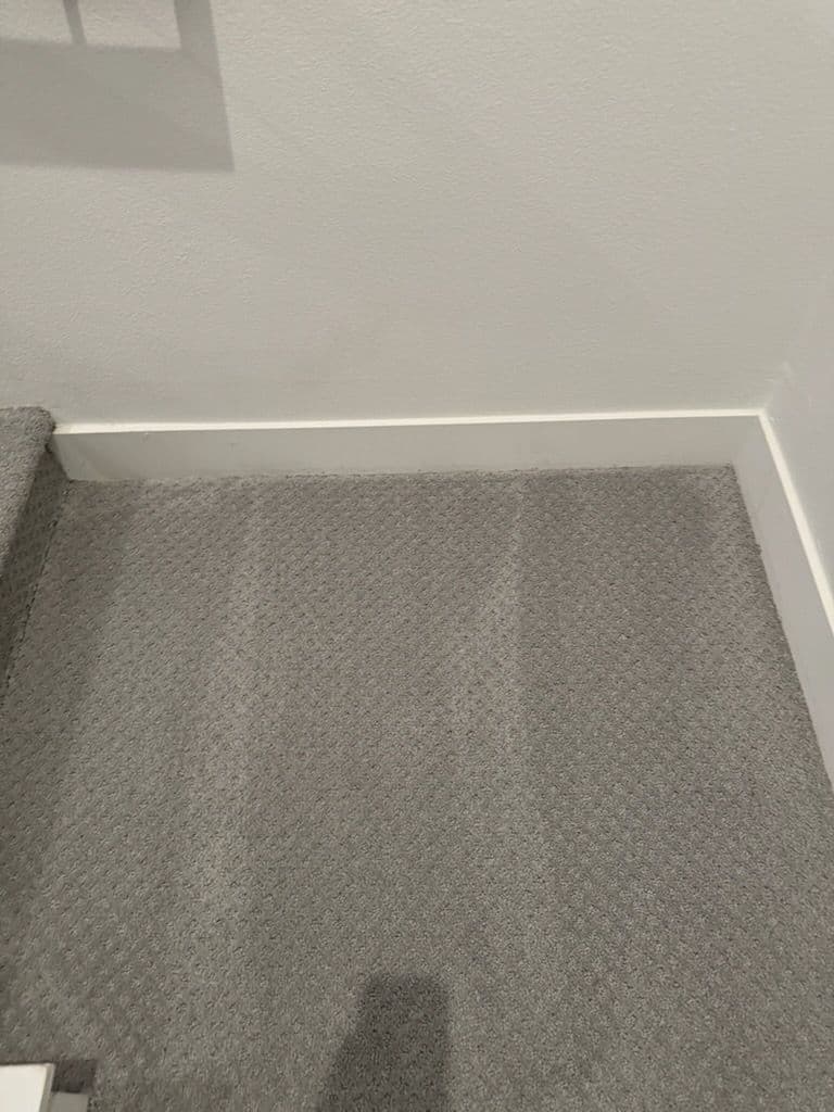 Carpet Cleaning Brilliance in San Fernando image