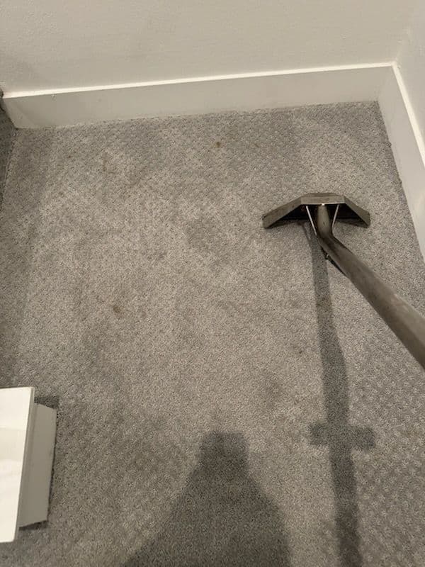 Gallery photos for Carpet Cleaning Brilliance in San Fernando: Image #1