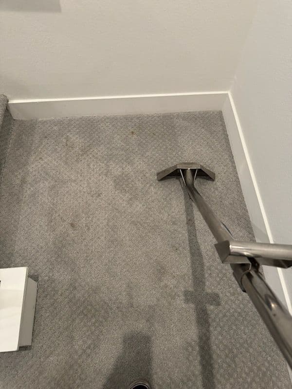 Gallery photos for Carpet Cleaning Brilliance in San Fernando: Image #3