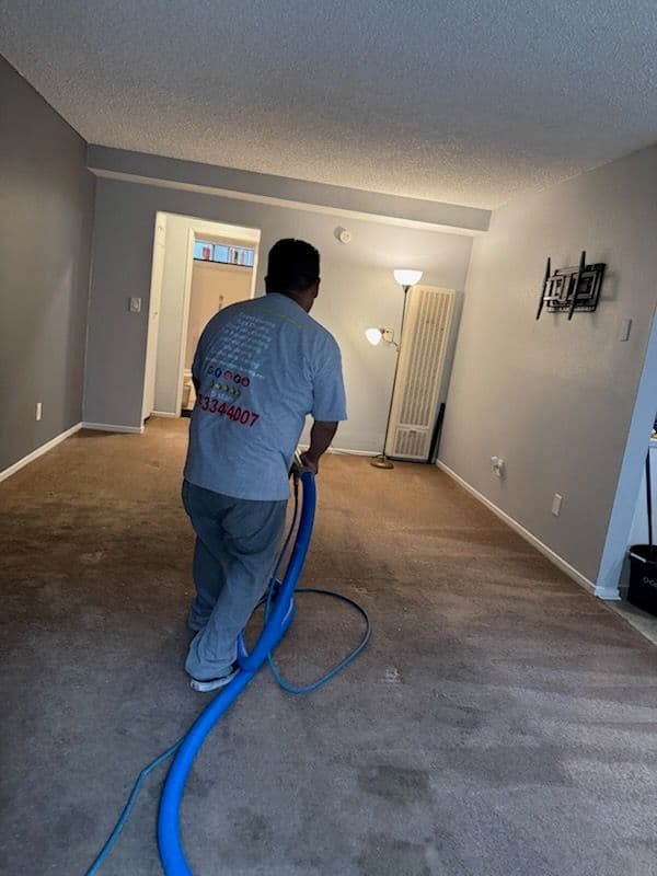 Gallery photos for Professional Carpet Cleaning by Douglas in Van Nuys: Image #1